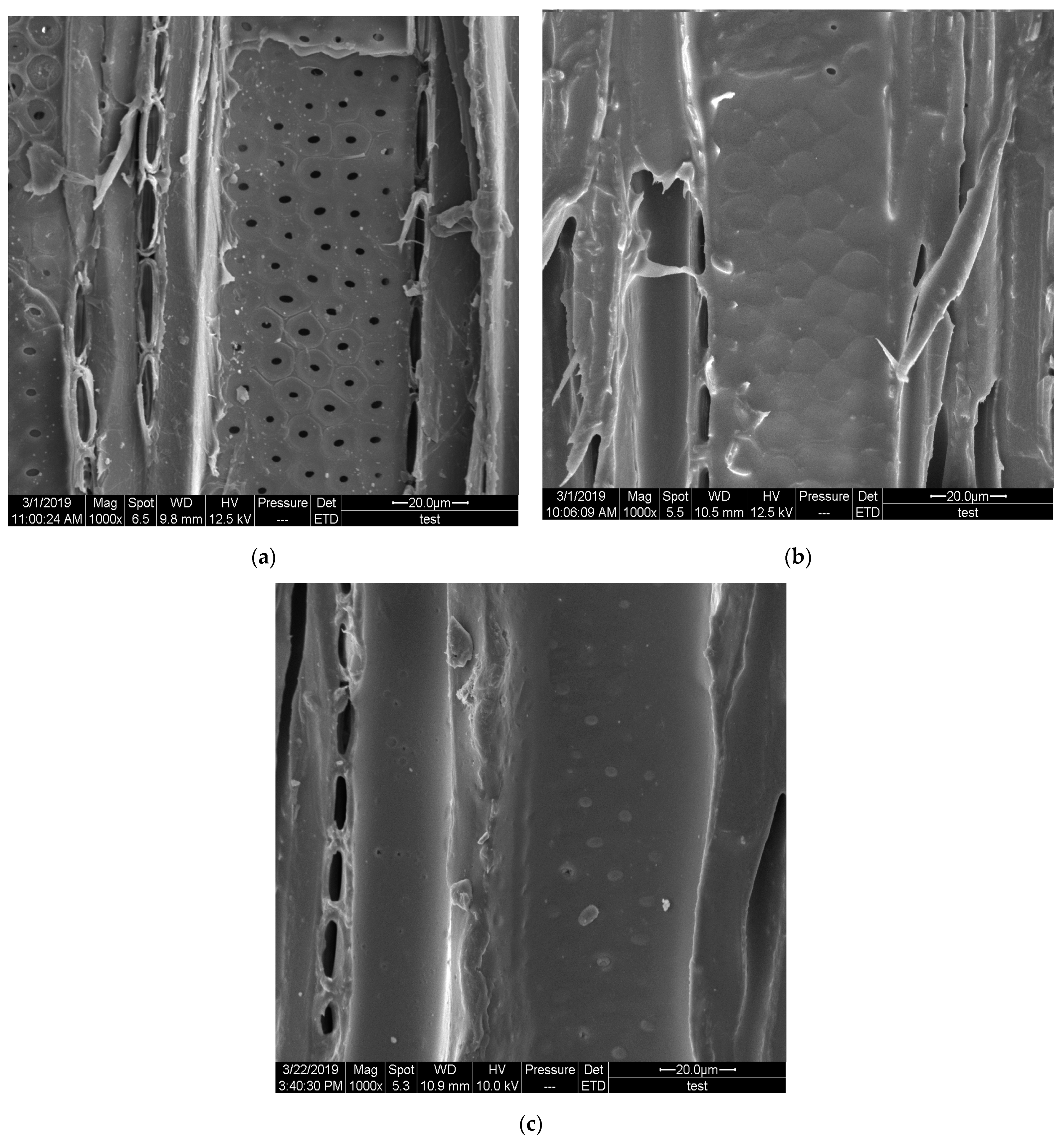 Polymers 13 00127 g002 Polymers 13 00127 g002