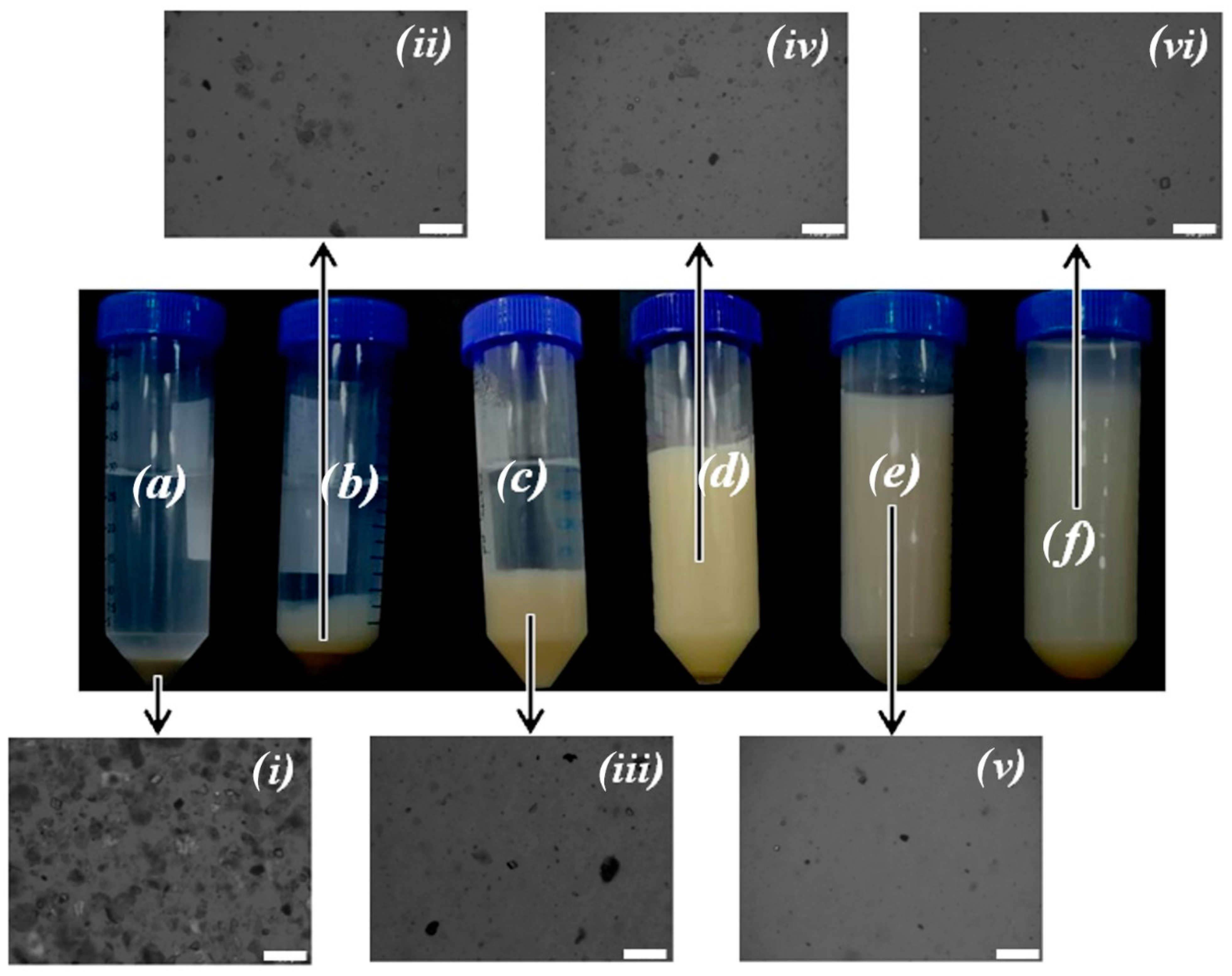 Polymers 13 00129 g004