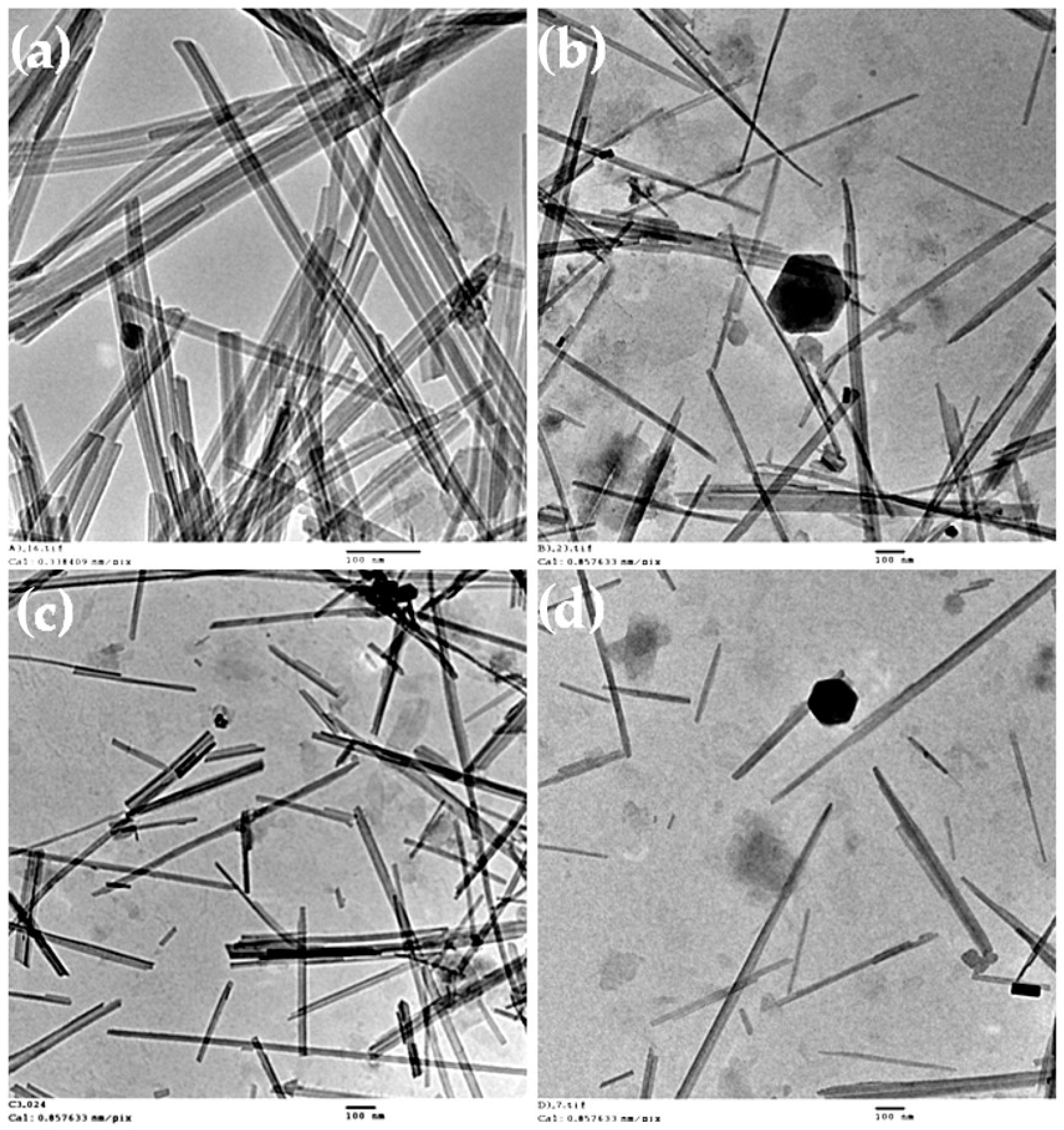 Polymers 13 00129 g005