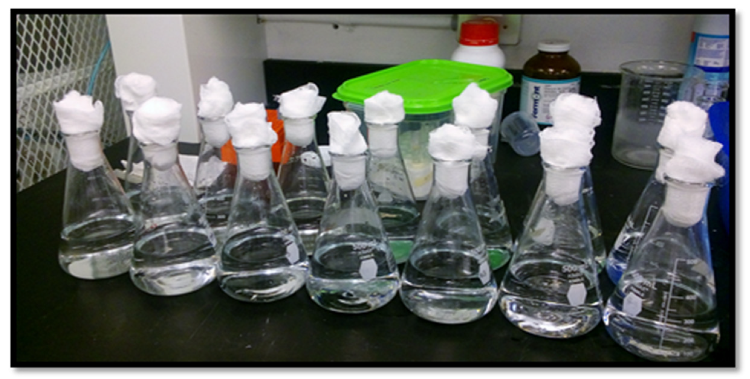 Polymers 13 00131 g0a11 Polymers 13 00131 g0a11