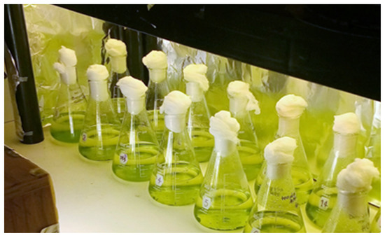 Polymers 13 00131 g0a12