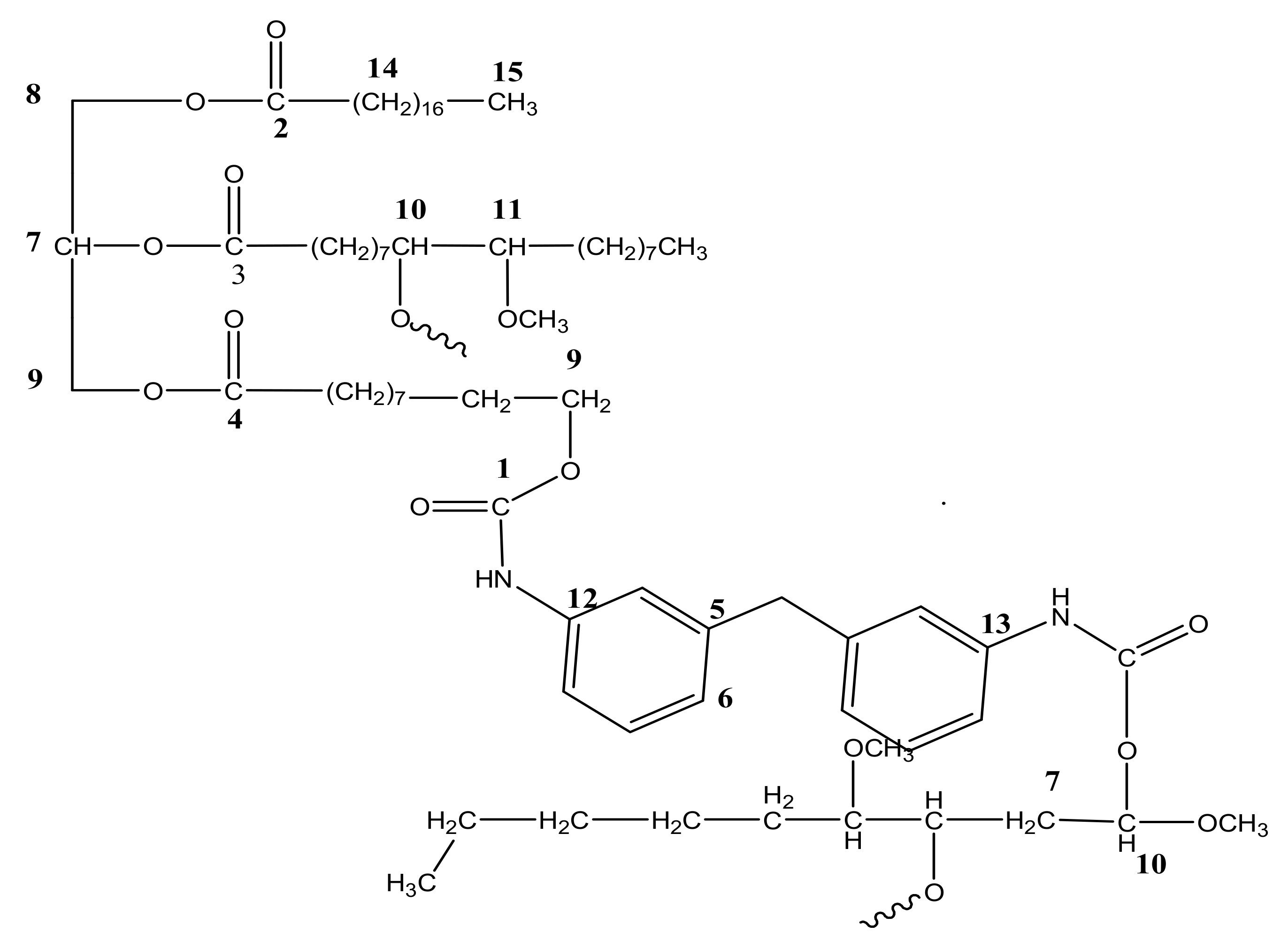 Polymers 13 00132 g007