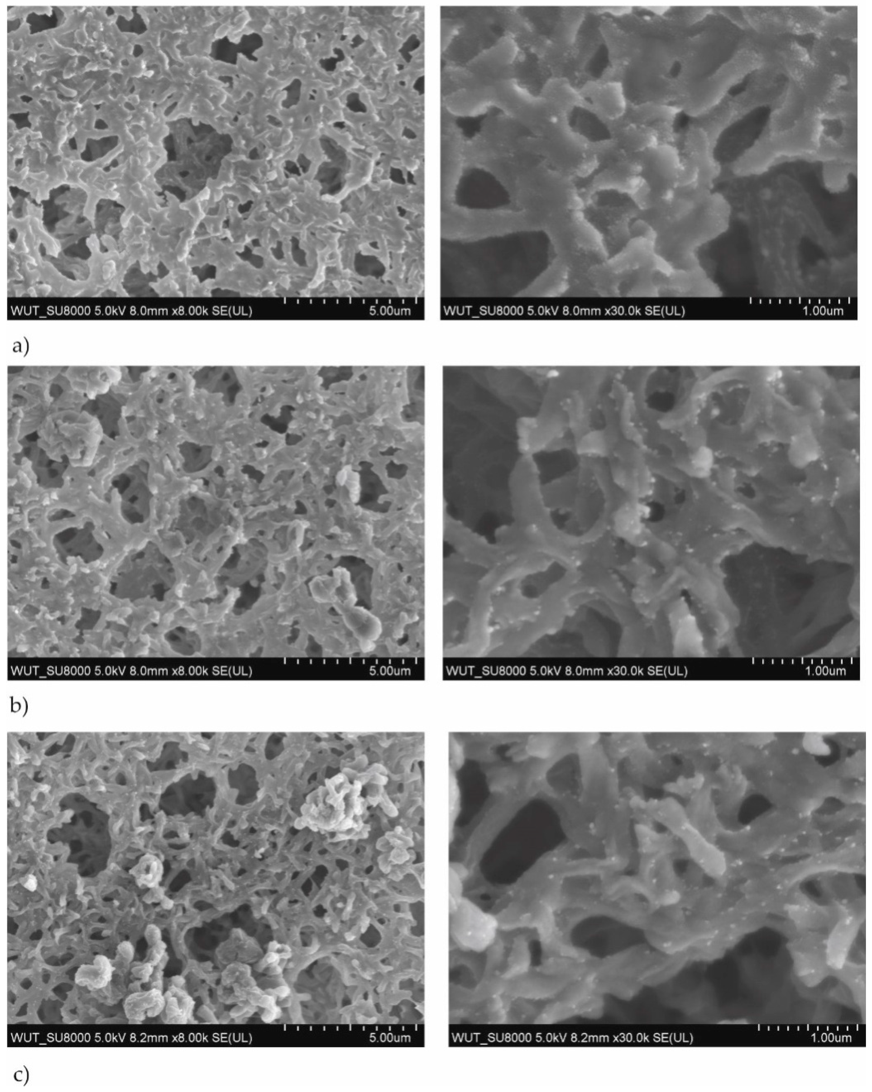Polymers 13 00141 g001