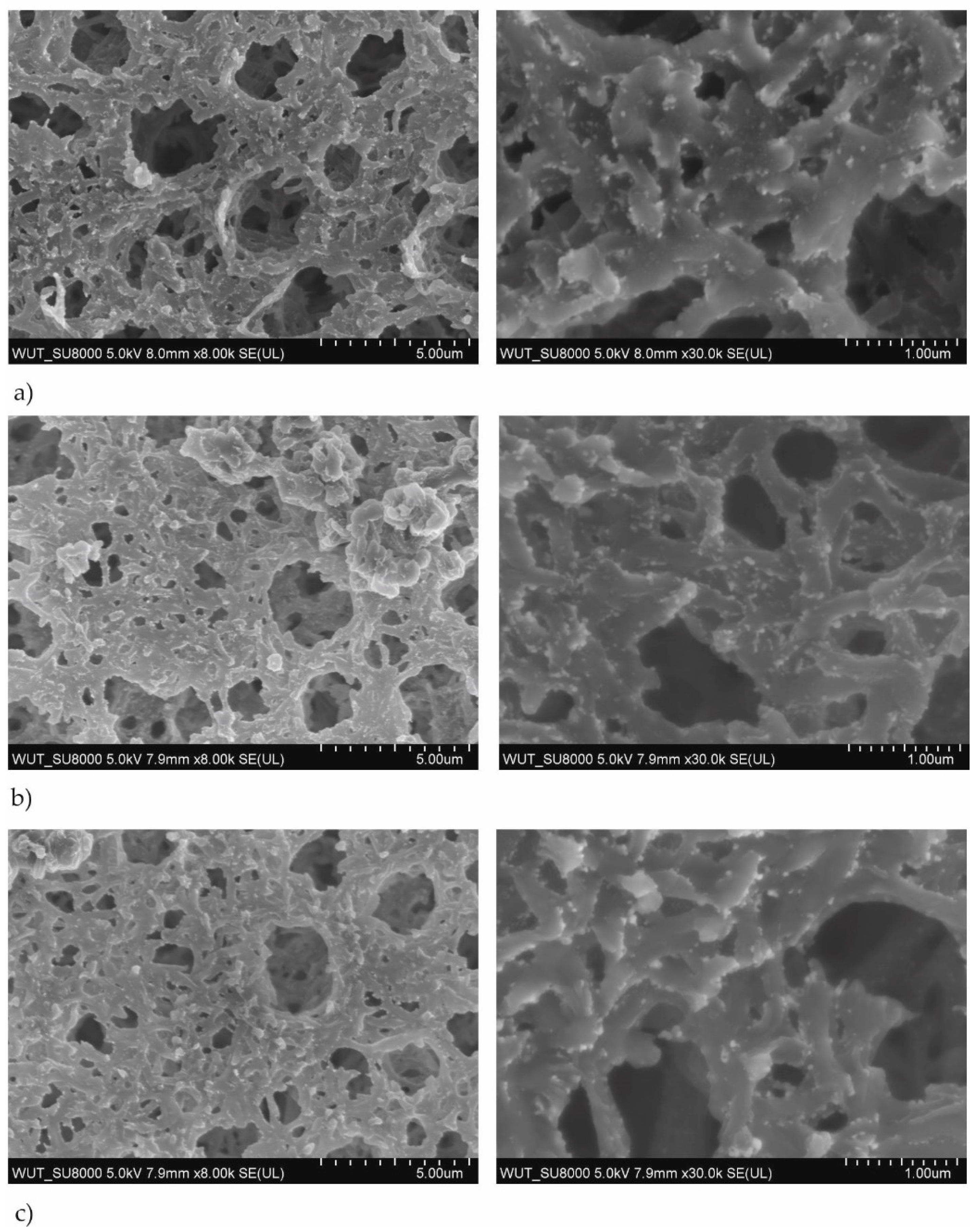 Polymers 13 00141 g002