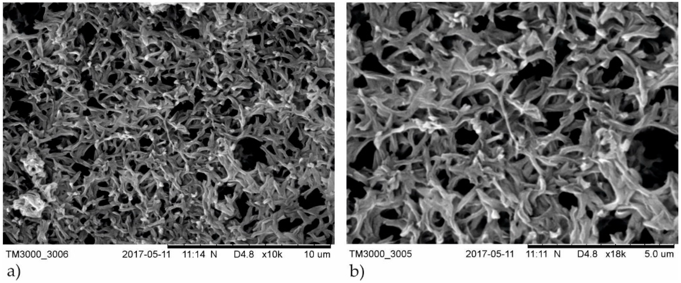 Polymers 13 00141 g003