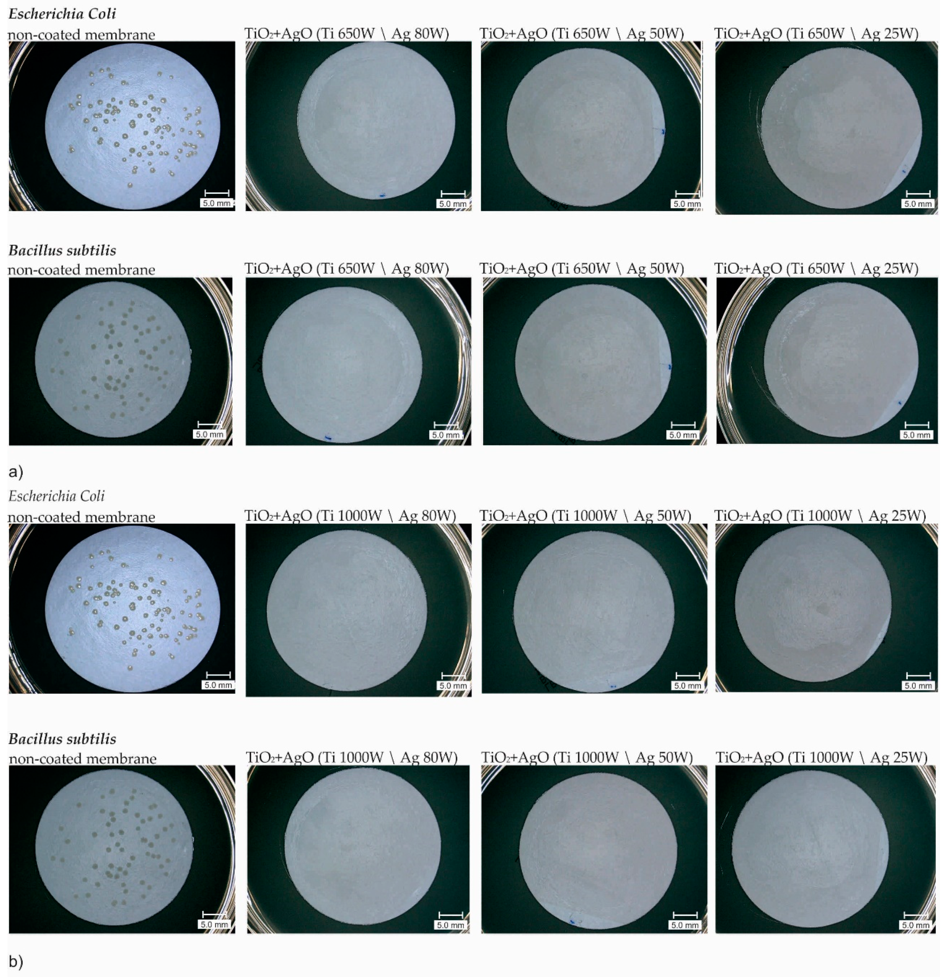 Polymers 13 00141 g005