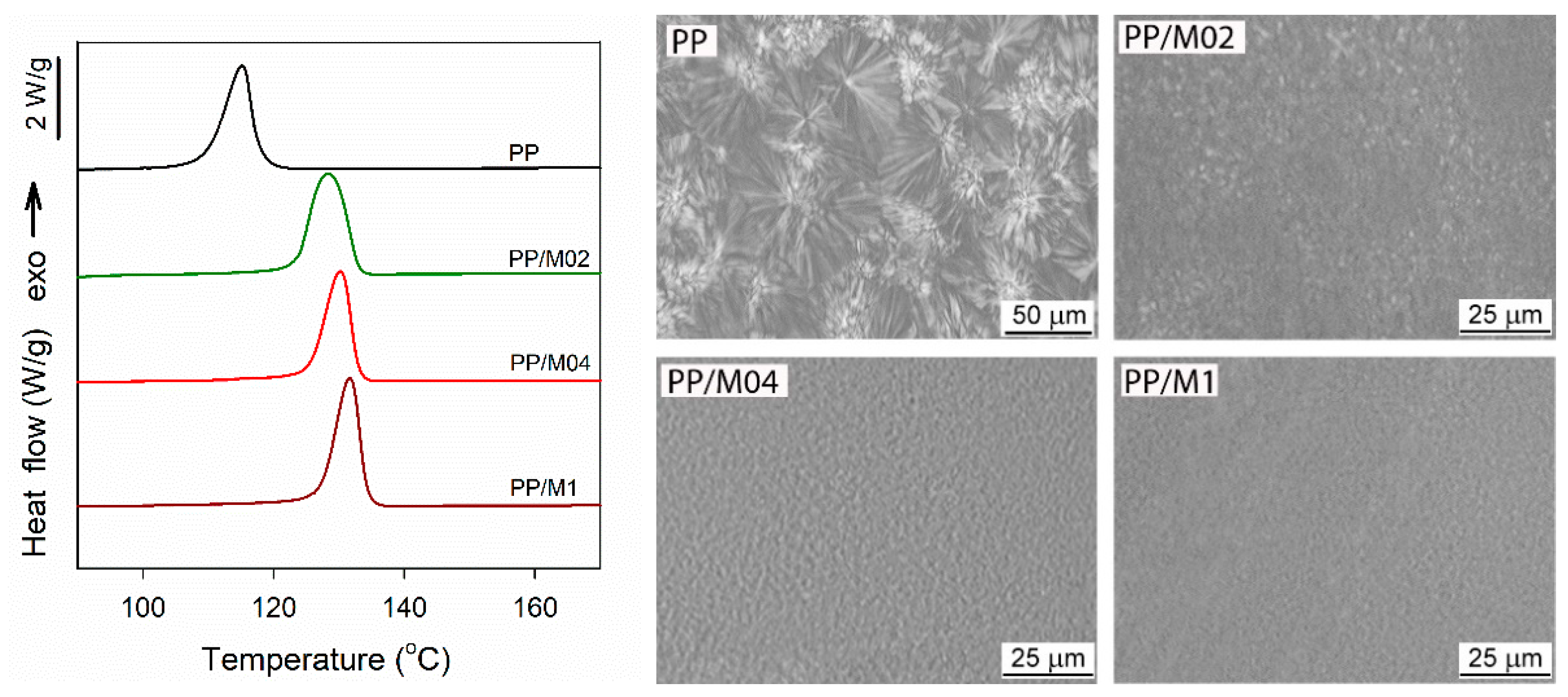 Polymers 13 00145 g001