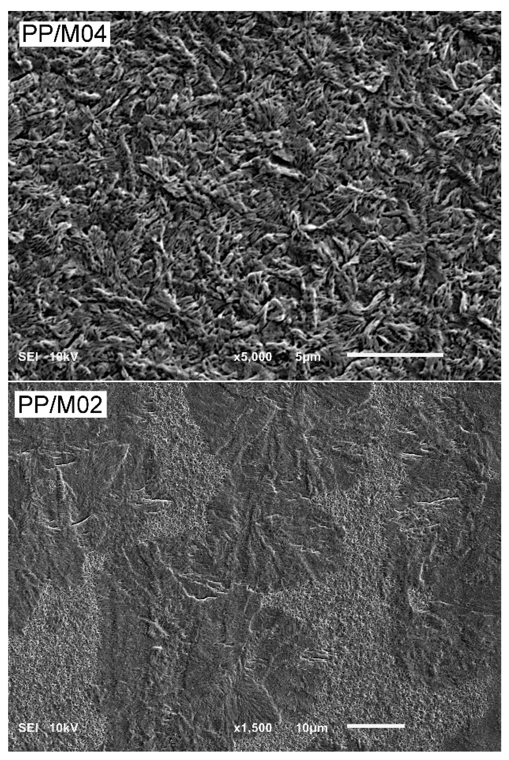 Polymers 13 00145 g006