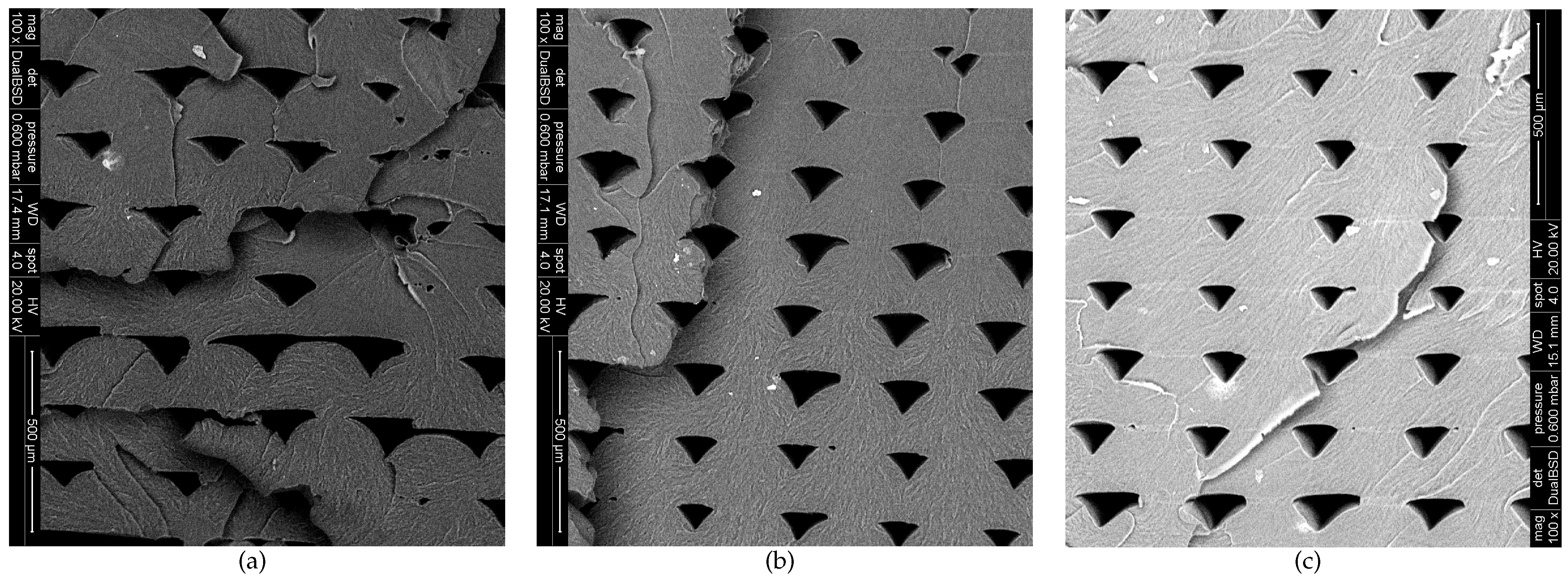 Polymers 13 00149 g007