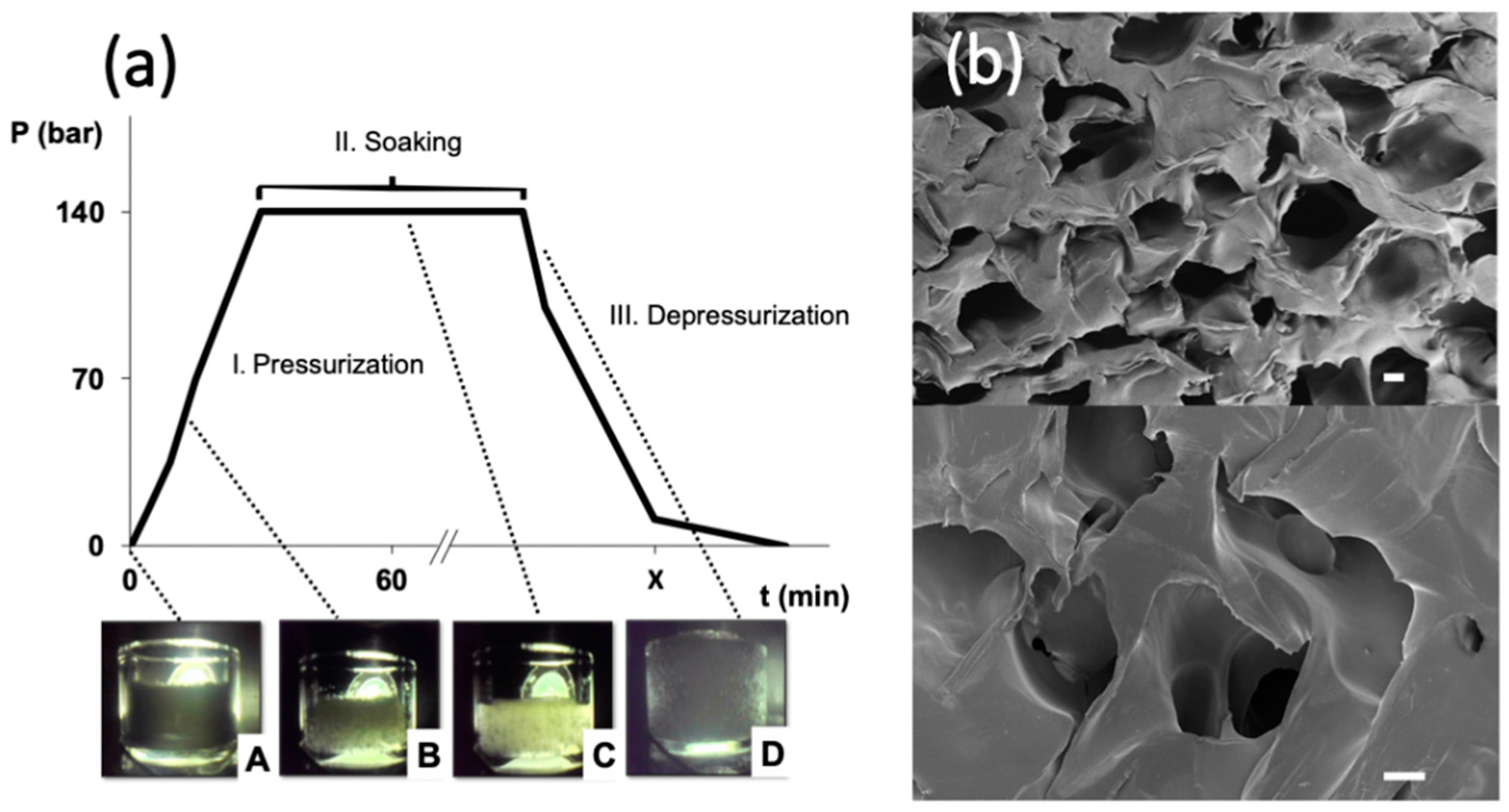 Polymers 13 00159 g001
