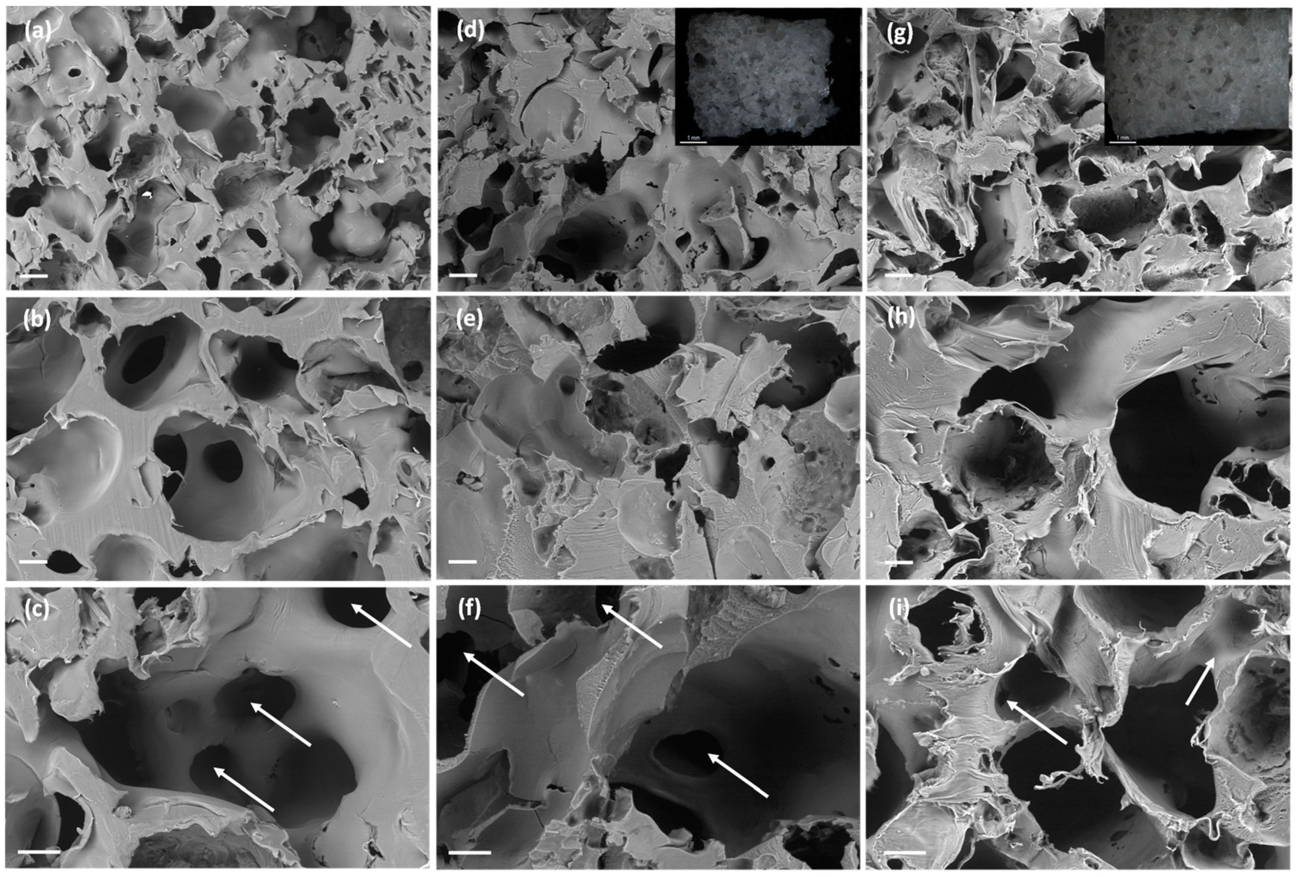 Polymers 13 00159 g002