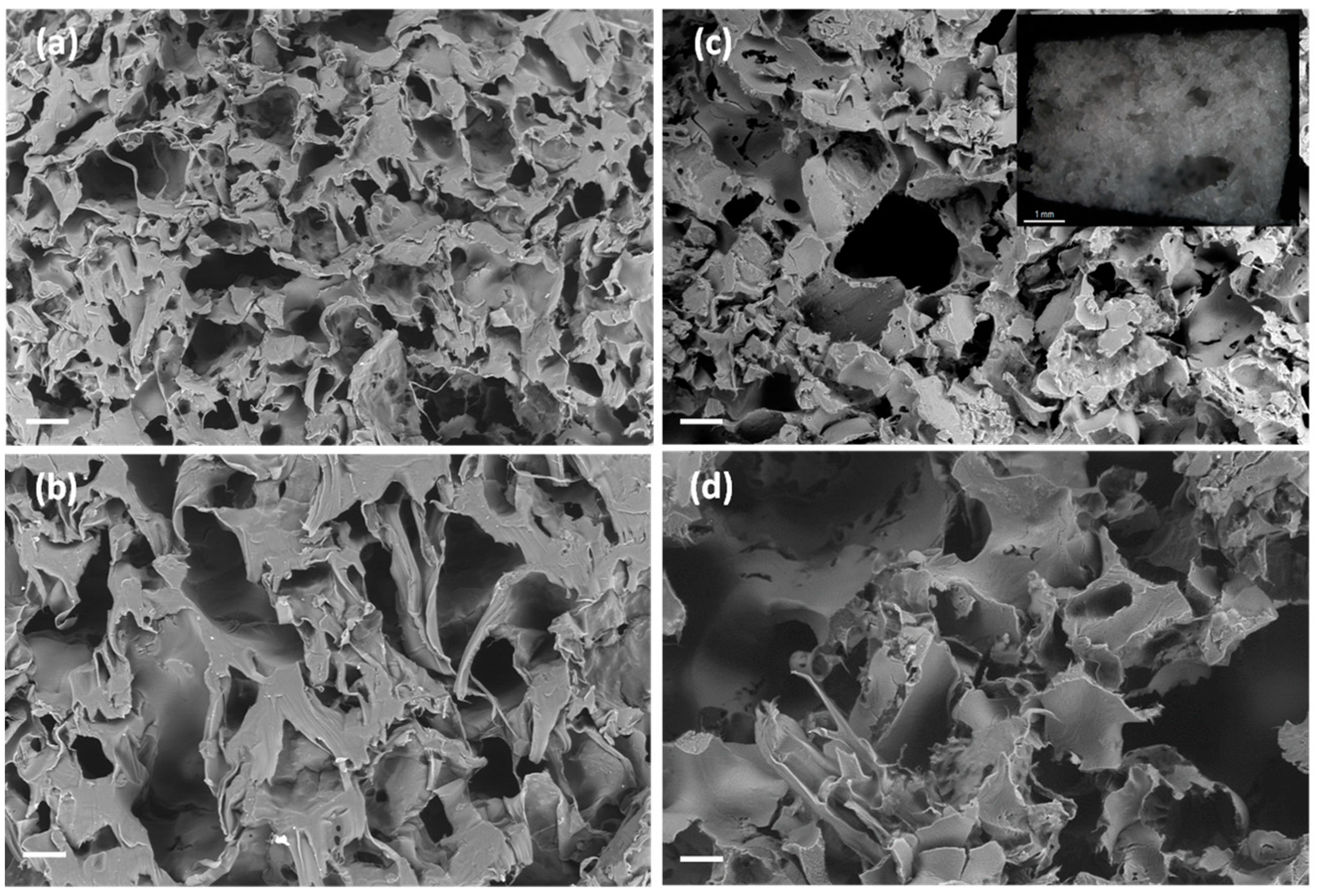 Polymers 13 00159 g003