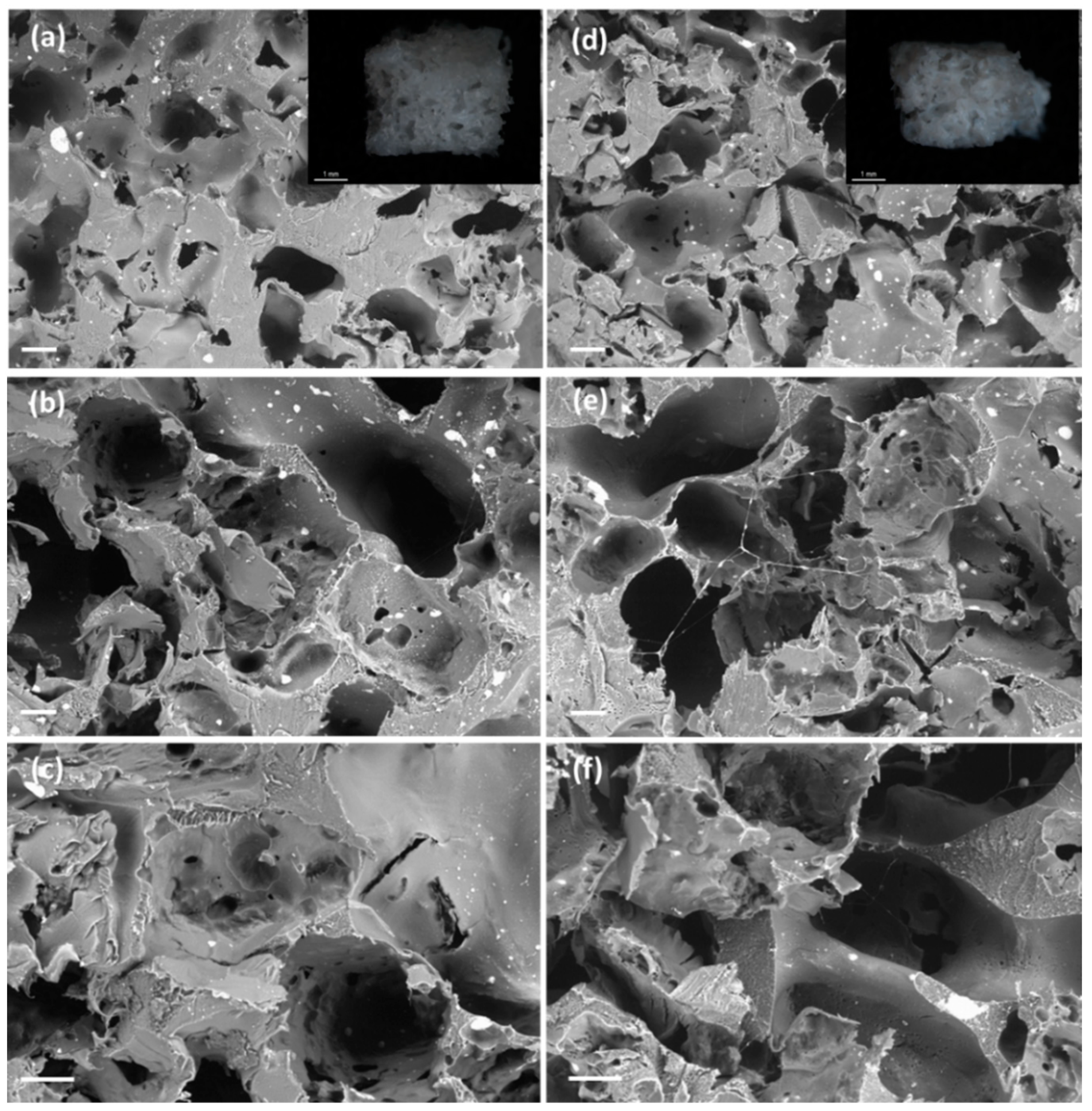 Polymers 13 00159 g007