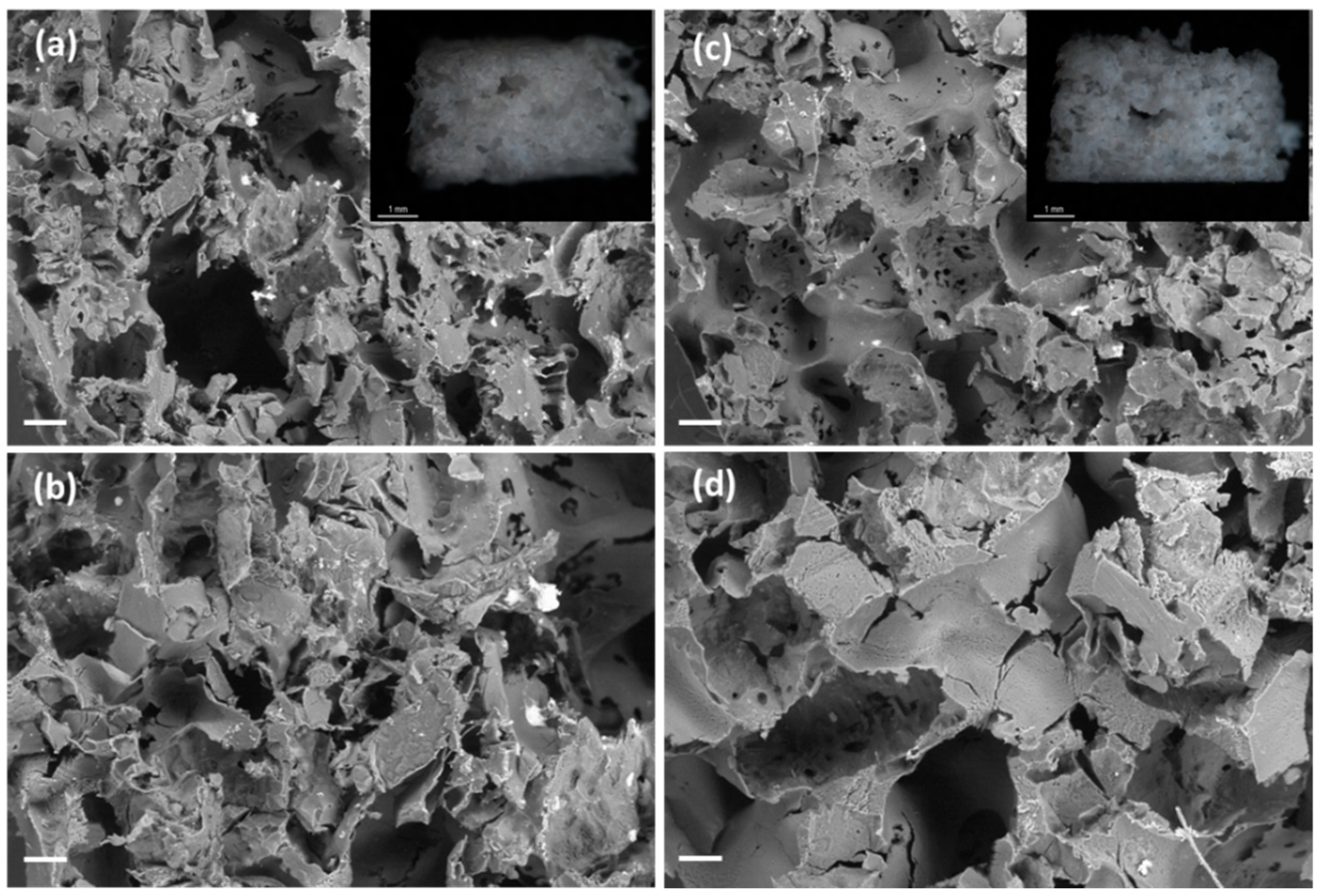 Polymers 13 00159 g008