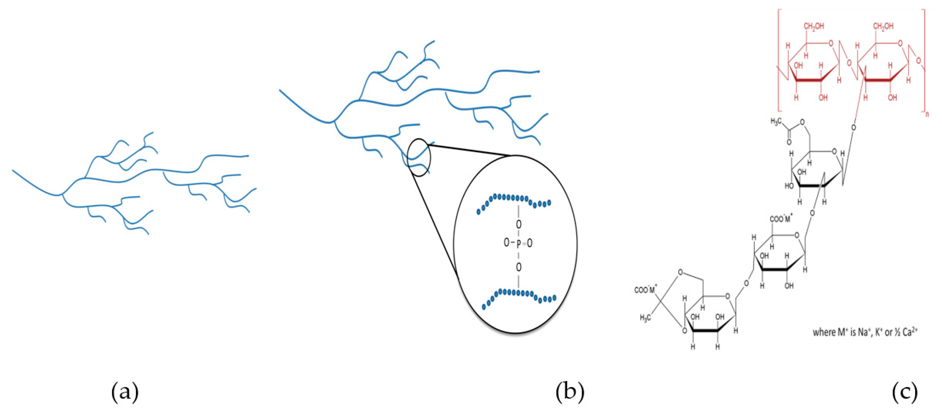 Polymers 13 00162 g001