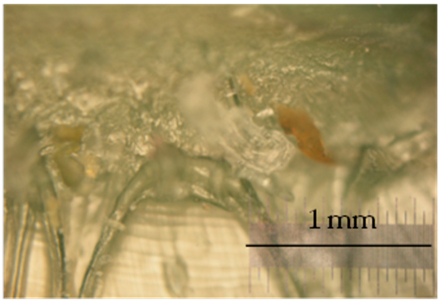 Polymers 13 00165 g007