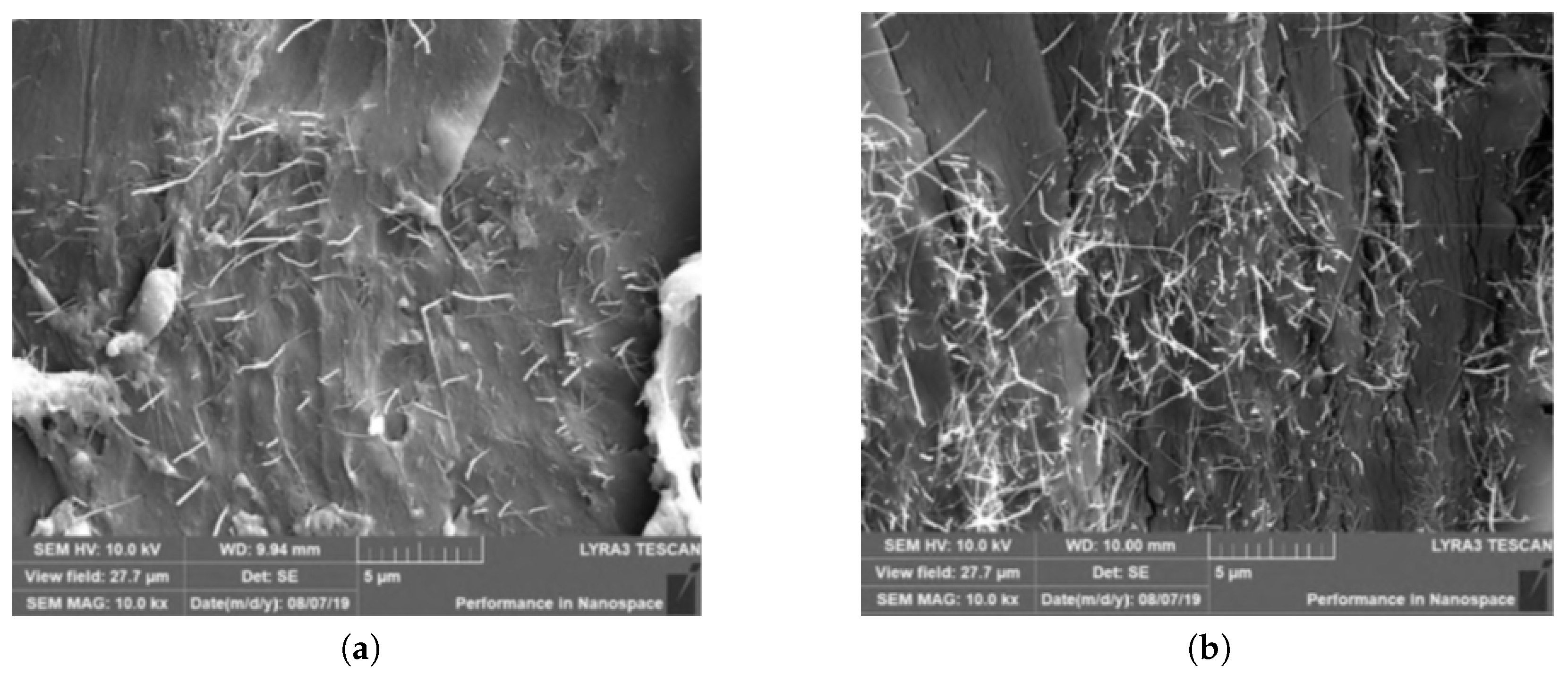 Polymers 13 00170 g005