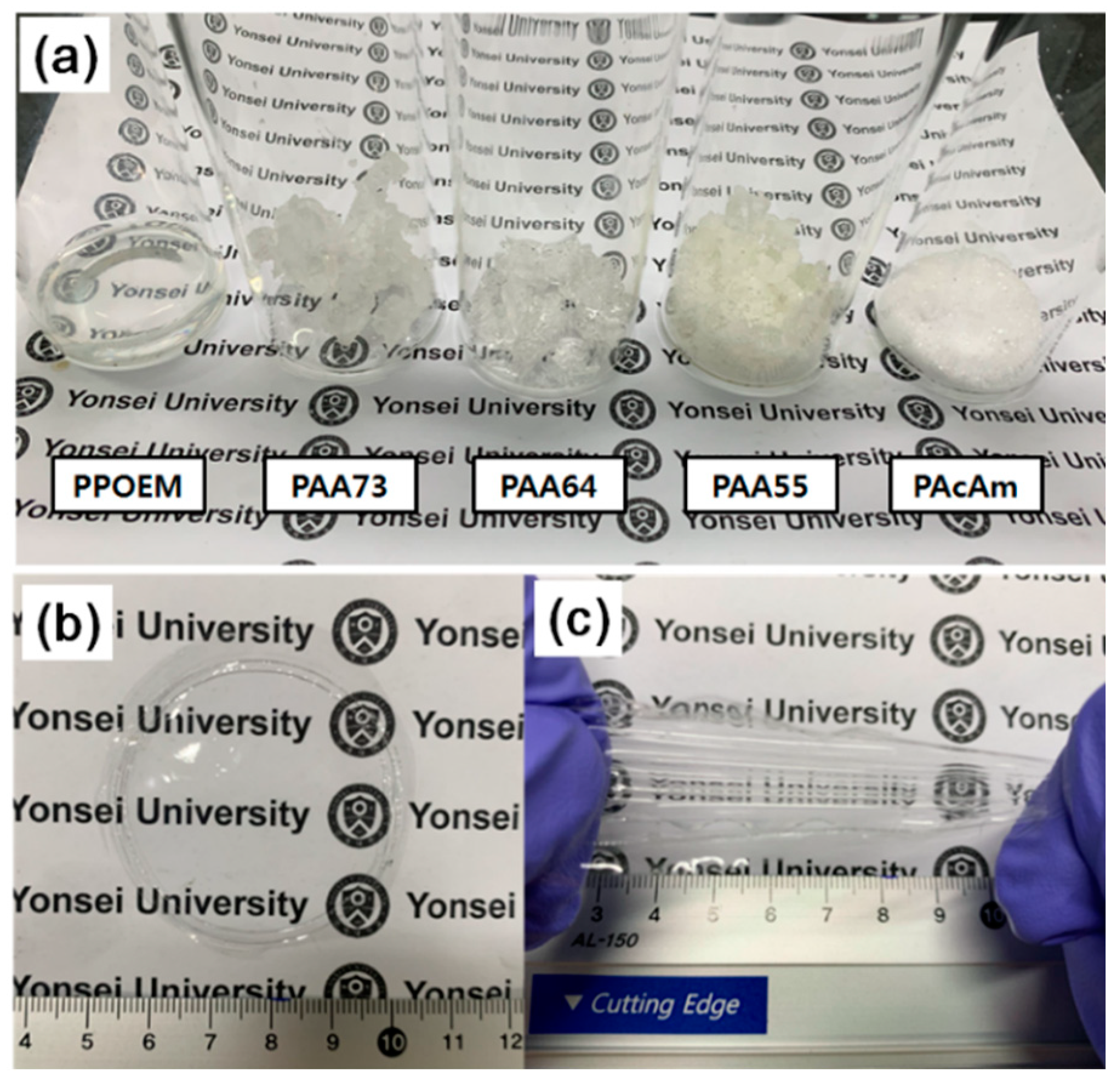 Polymers 13 00177 g001