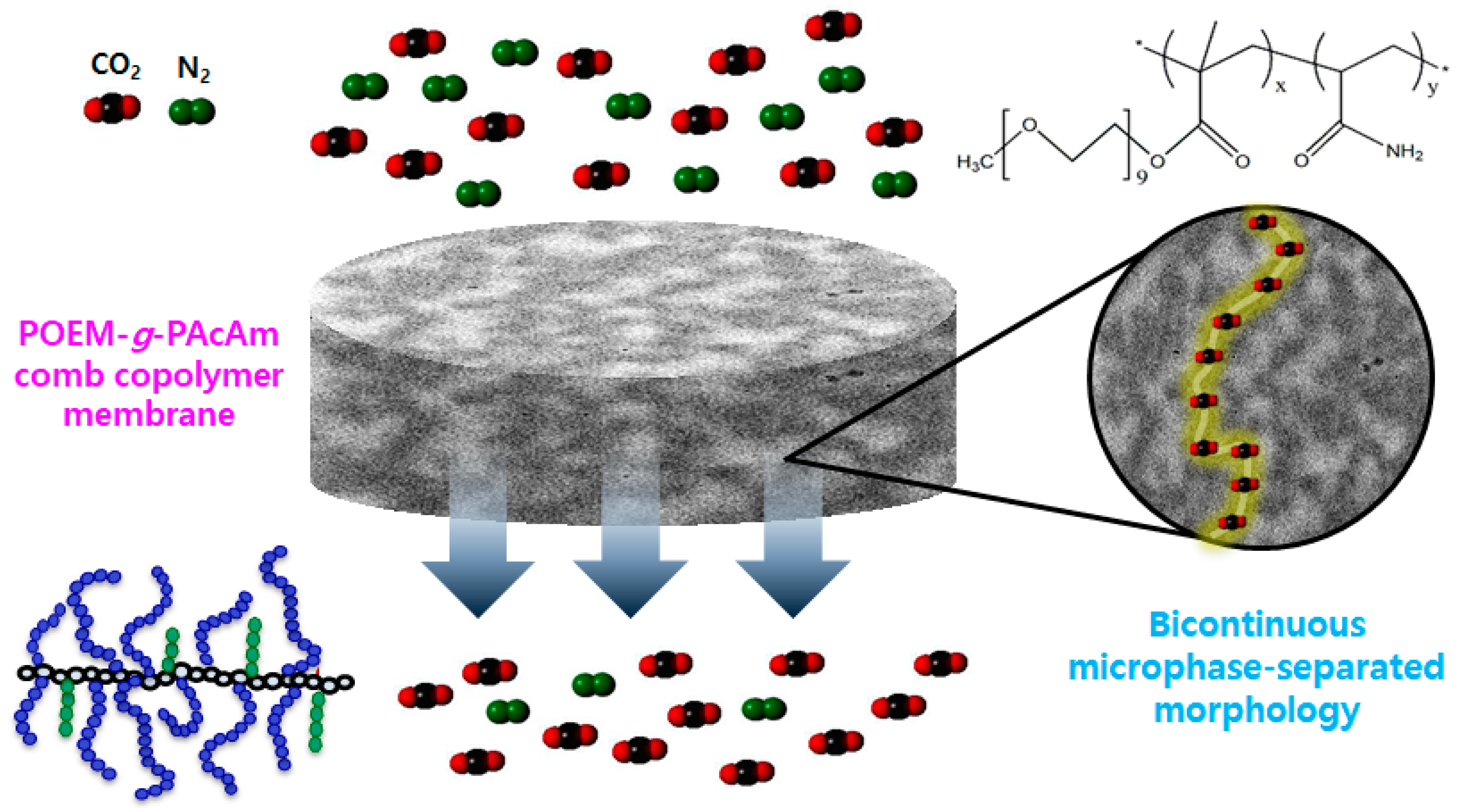 Polymers 13 00177 g007