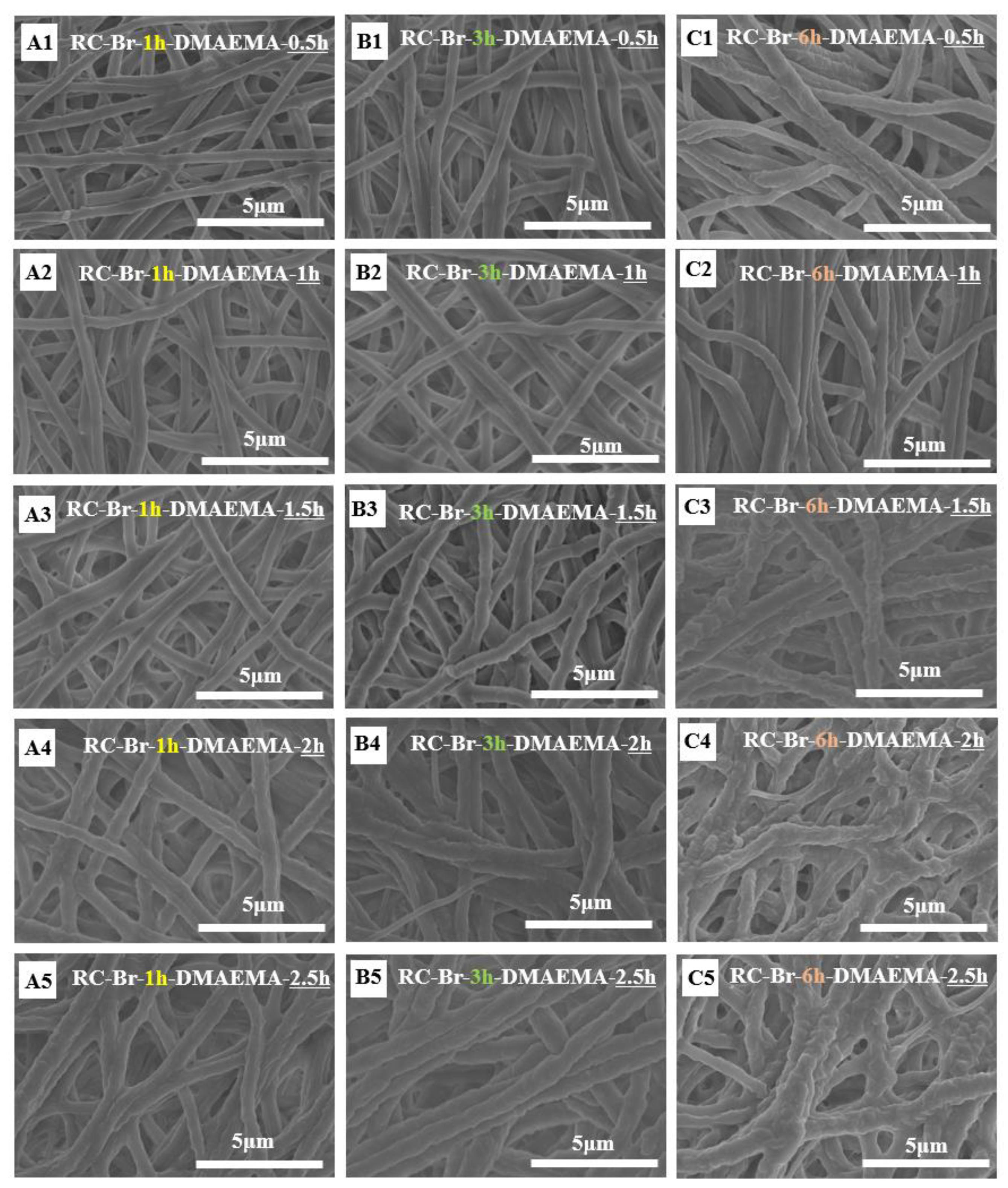 Polymers 13 00182 g006