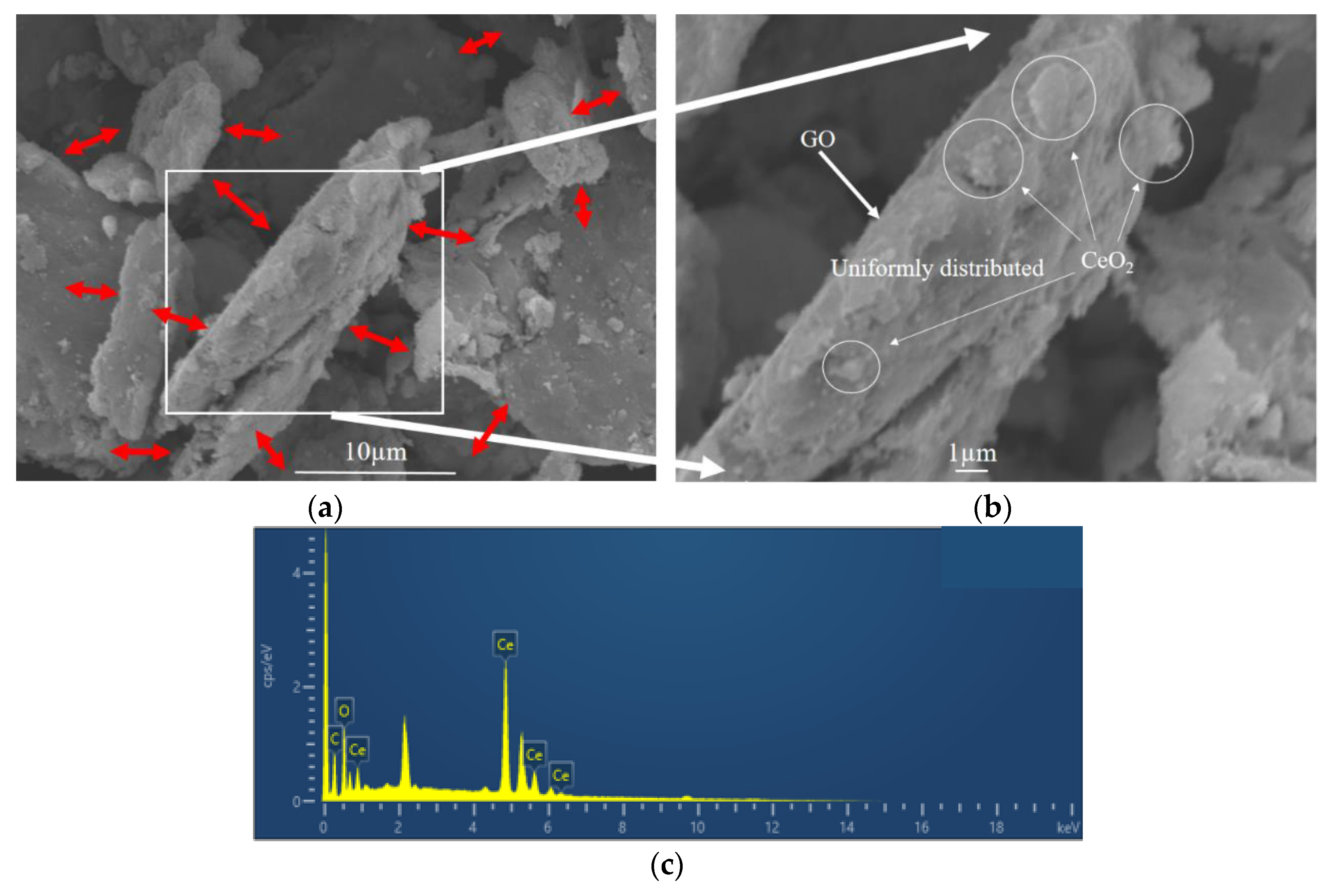 Polymers 13 00183 g003