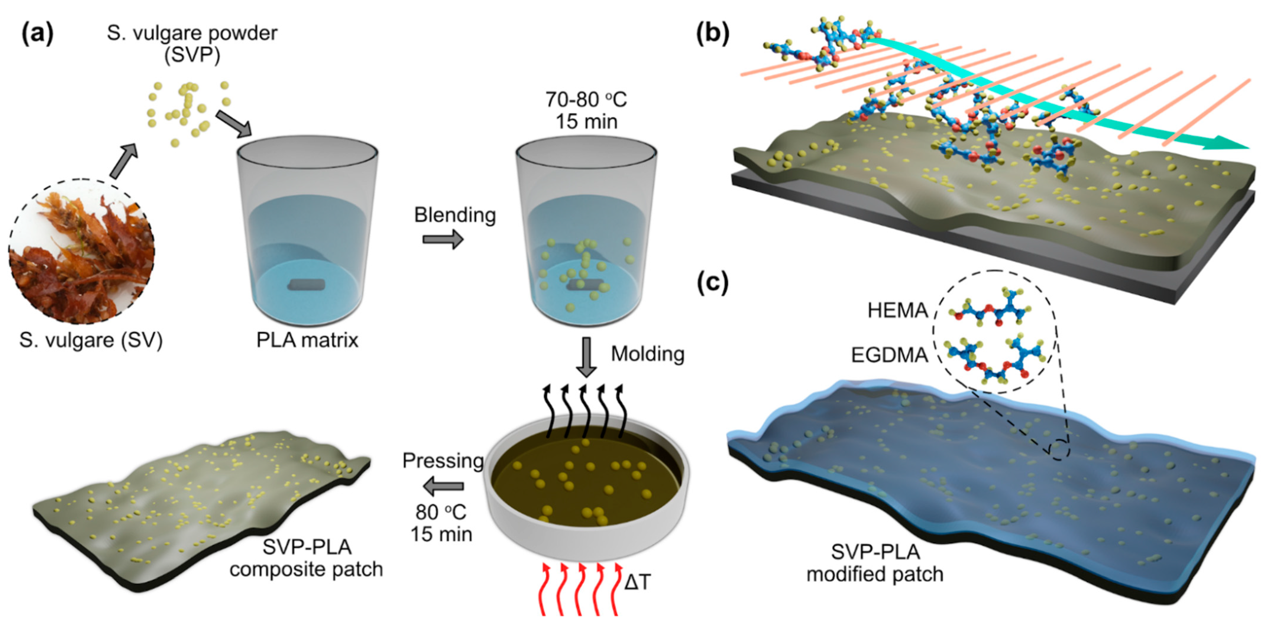 Polymers 13 00186 g001