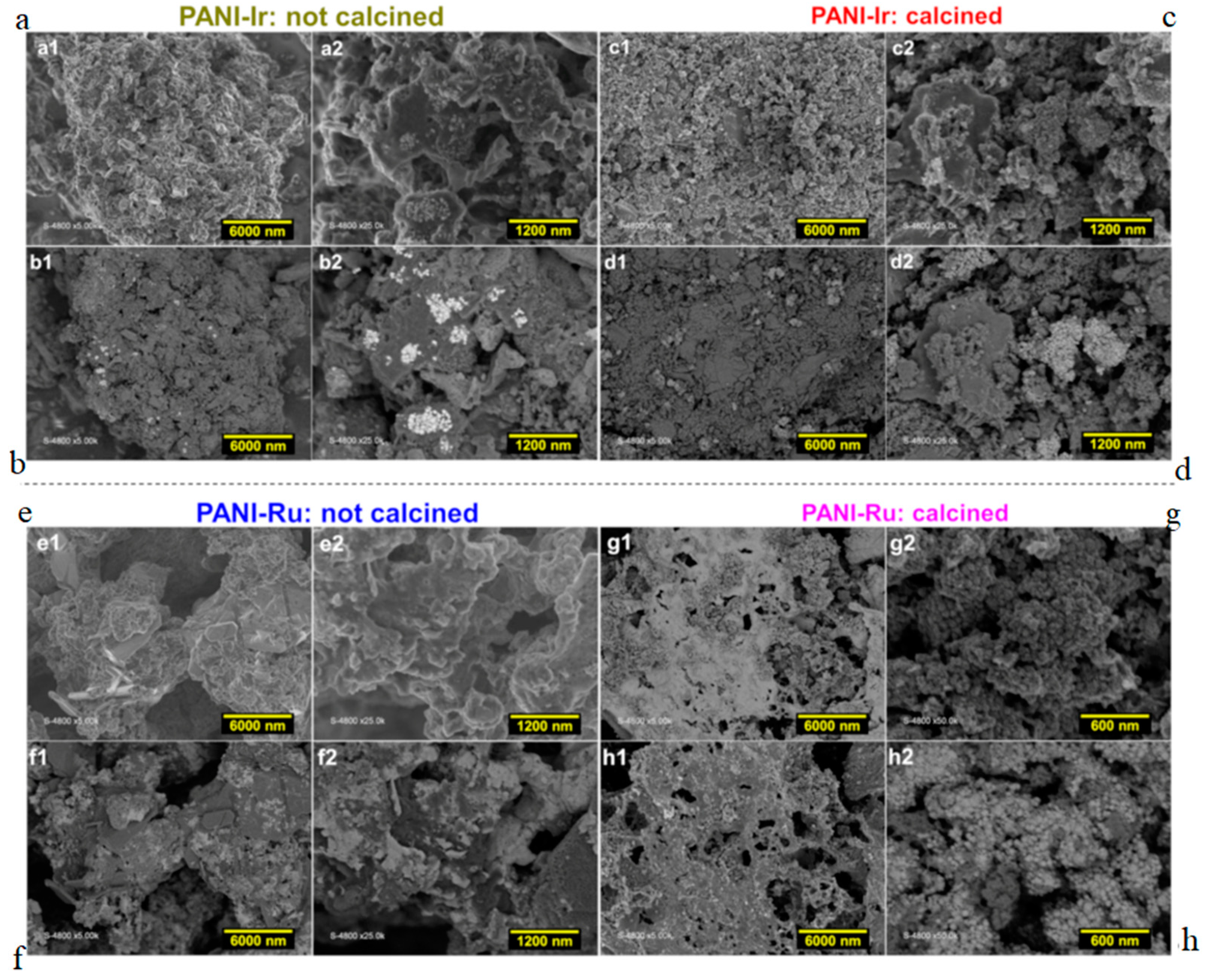 Polymers 13 00190 g002