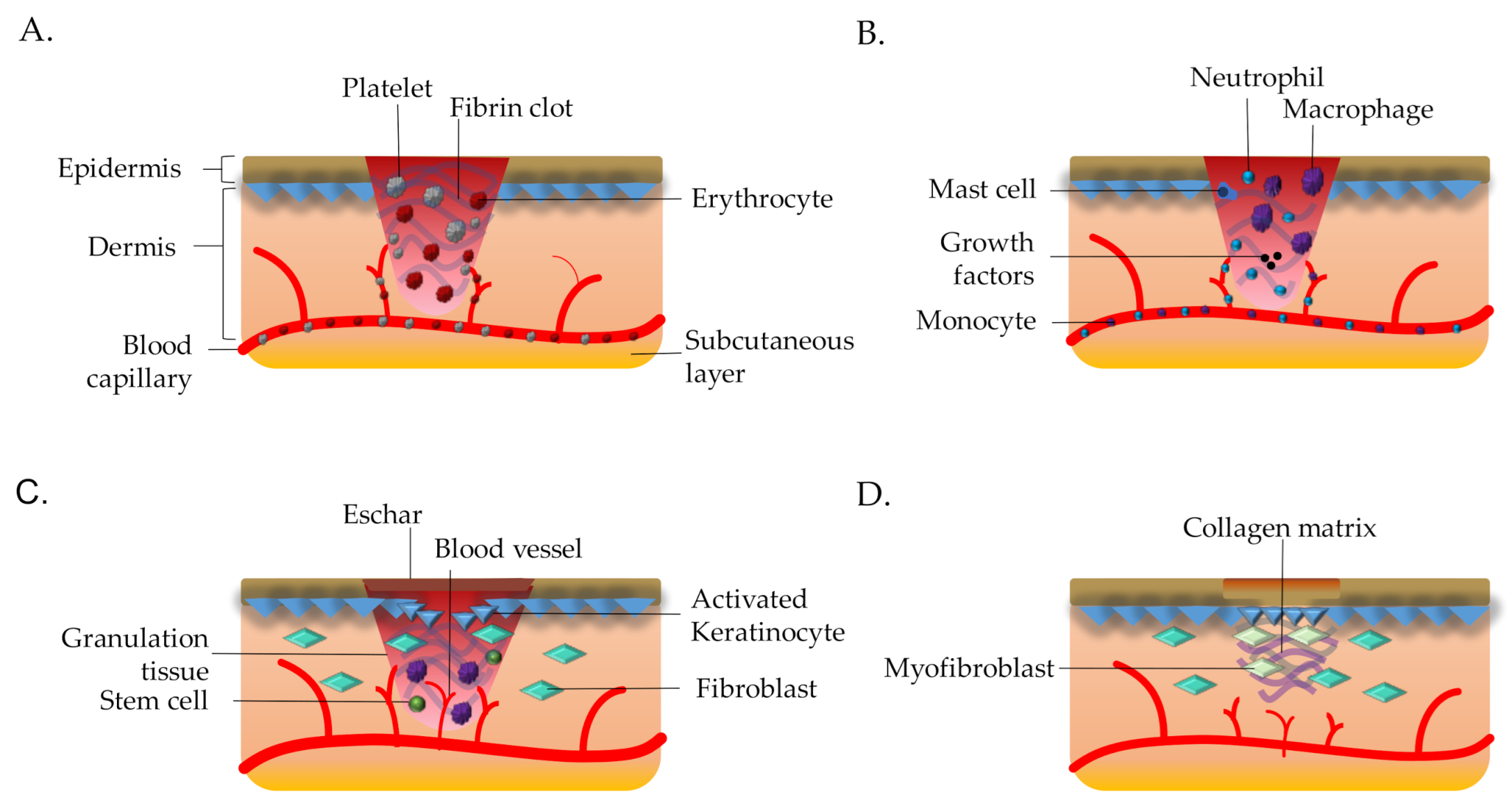 Polymers 13 00191 g001 Polymers 13 00191 g001