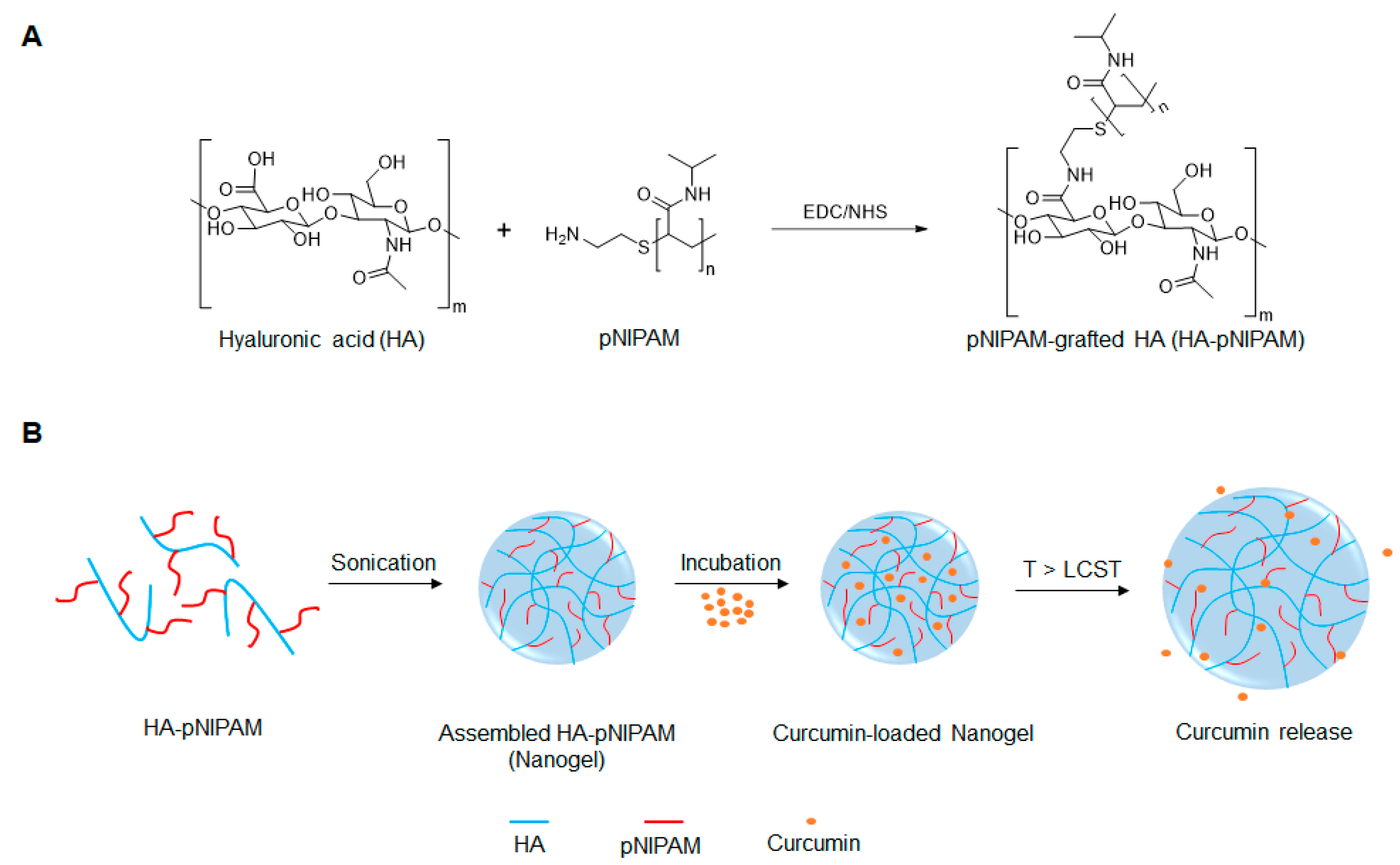 Polymers 13 00194 g001
