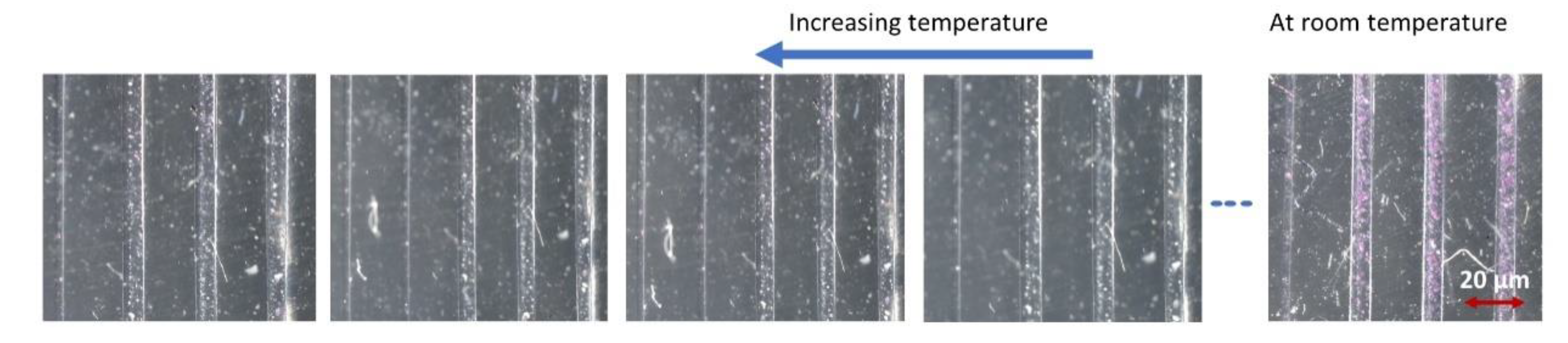 Polymers 13 00195 g006