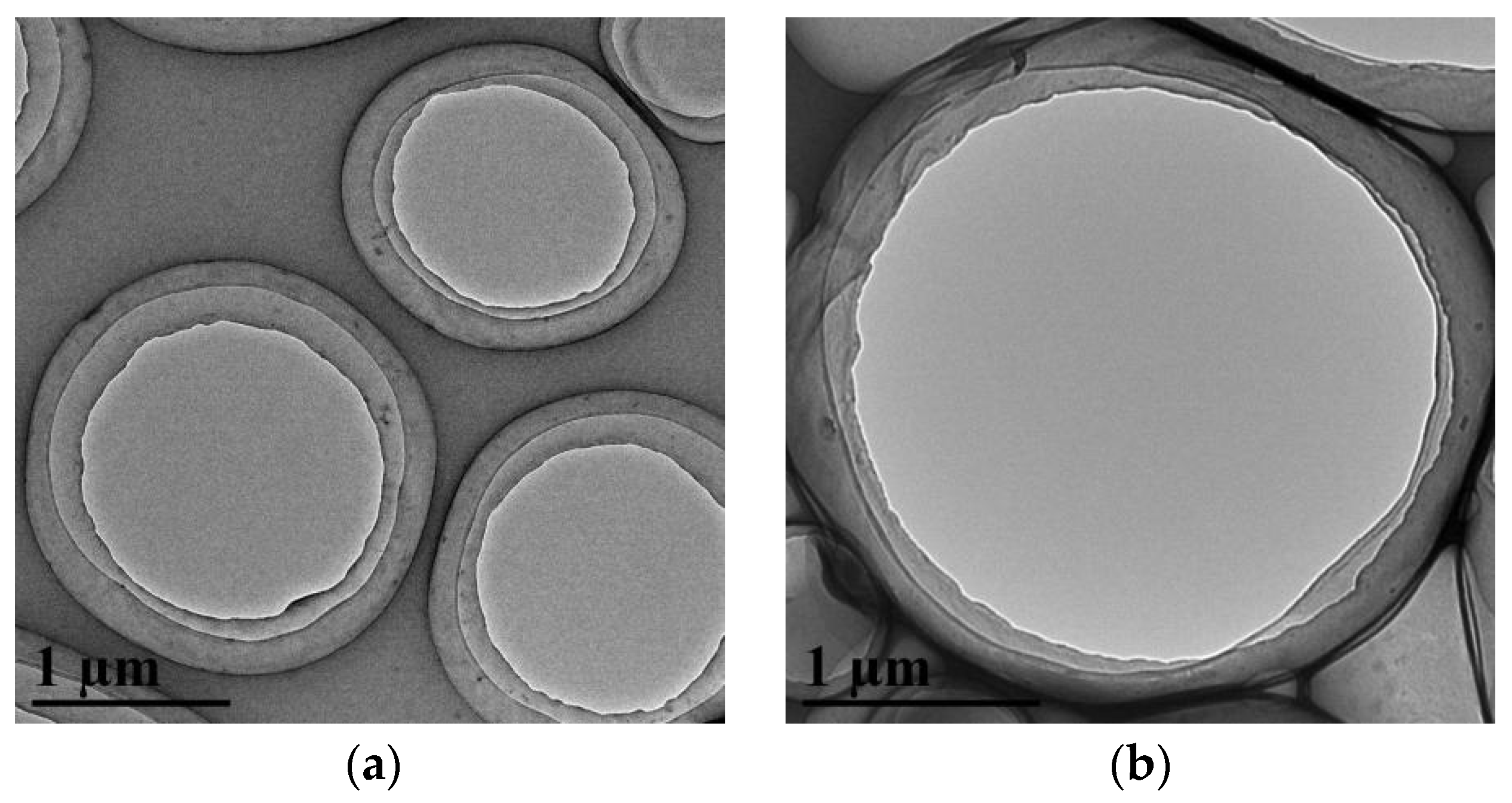 Polymers 13 00196 g003 Polymers 13 00196 g003
