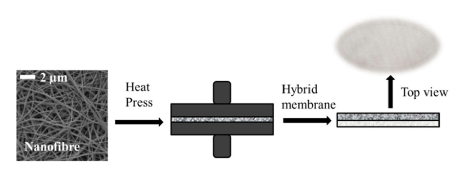 Polymers 13 00197 g001 Polymers 13 00197 g001