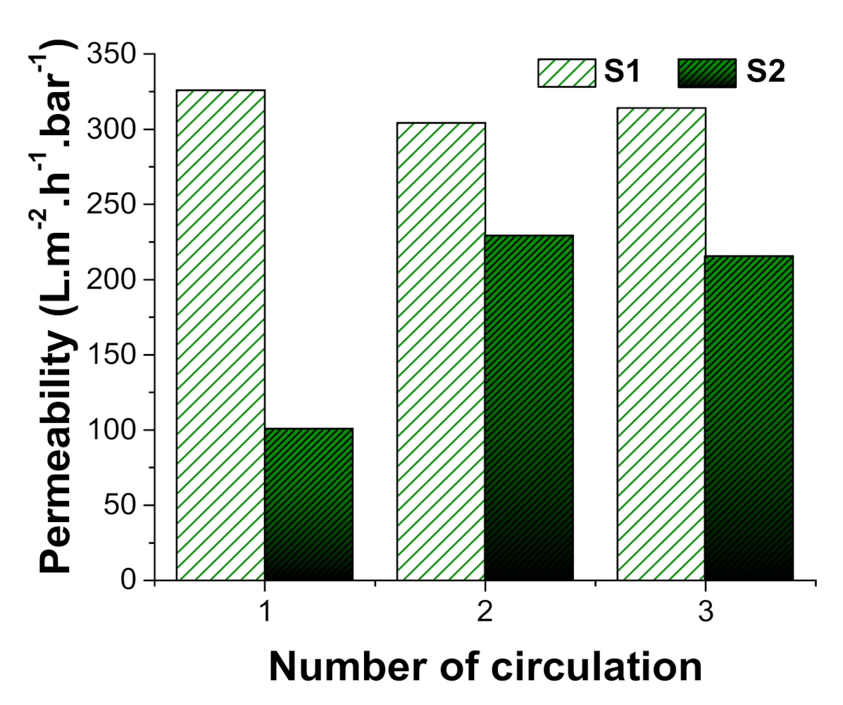 Polymers 13 00197 g010 Polymers 13 00197 g010