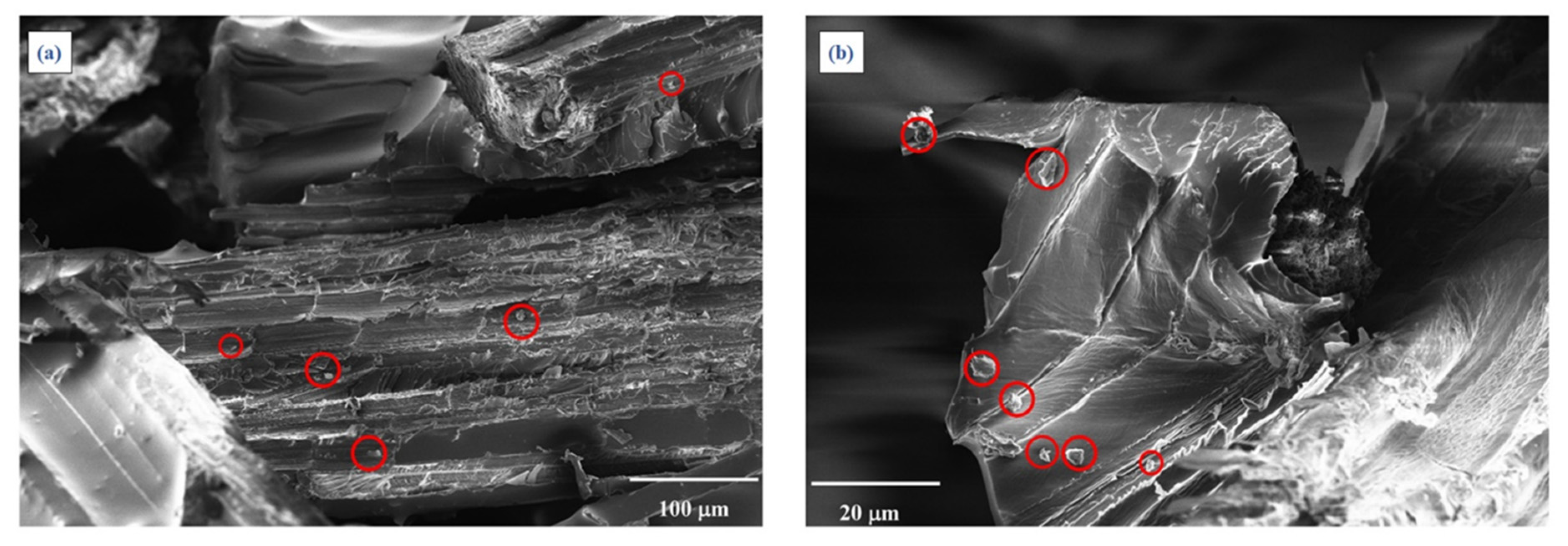 Polymers 13 00198 g010 Polymers 13 00198 g010