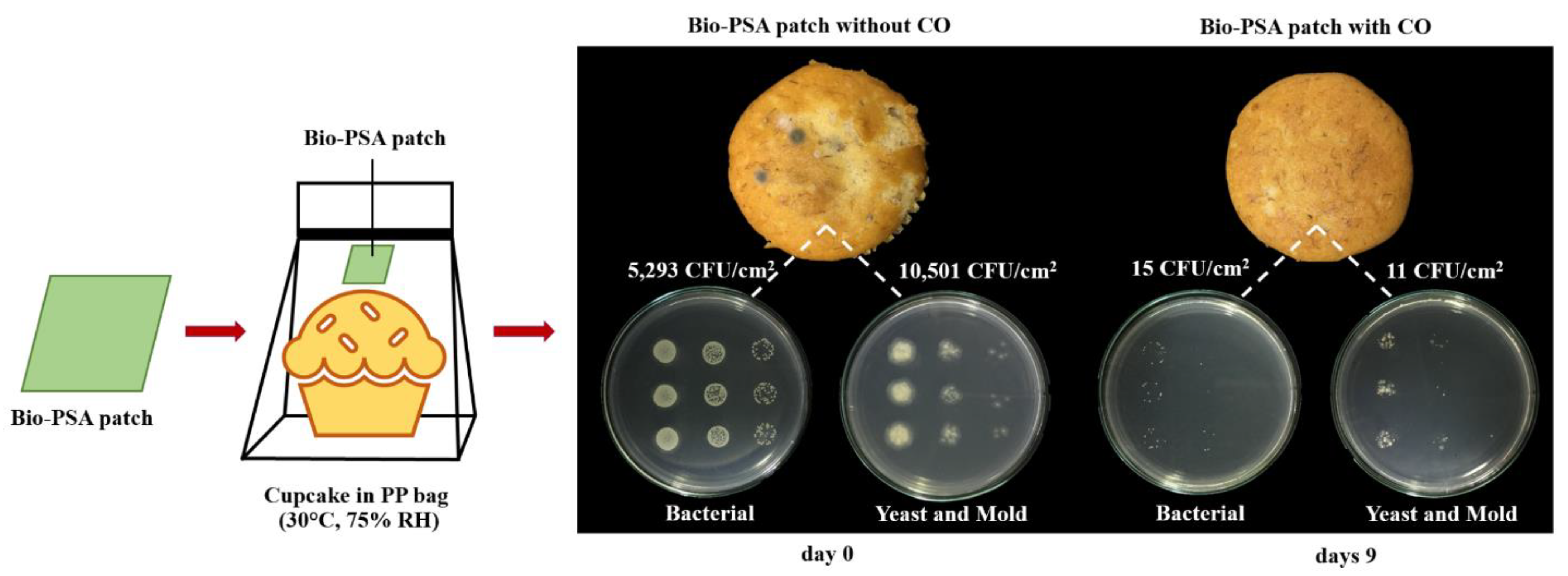 Polymers 13 00199 g001