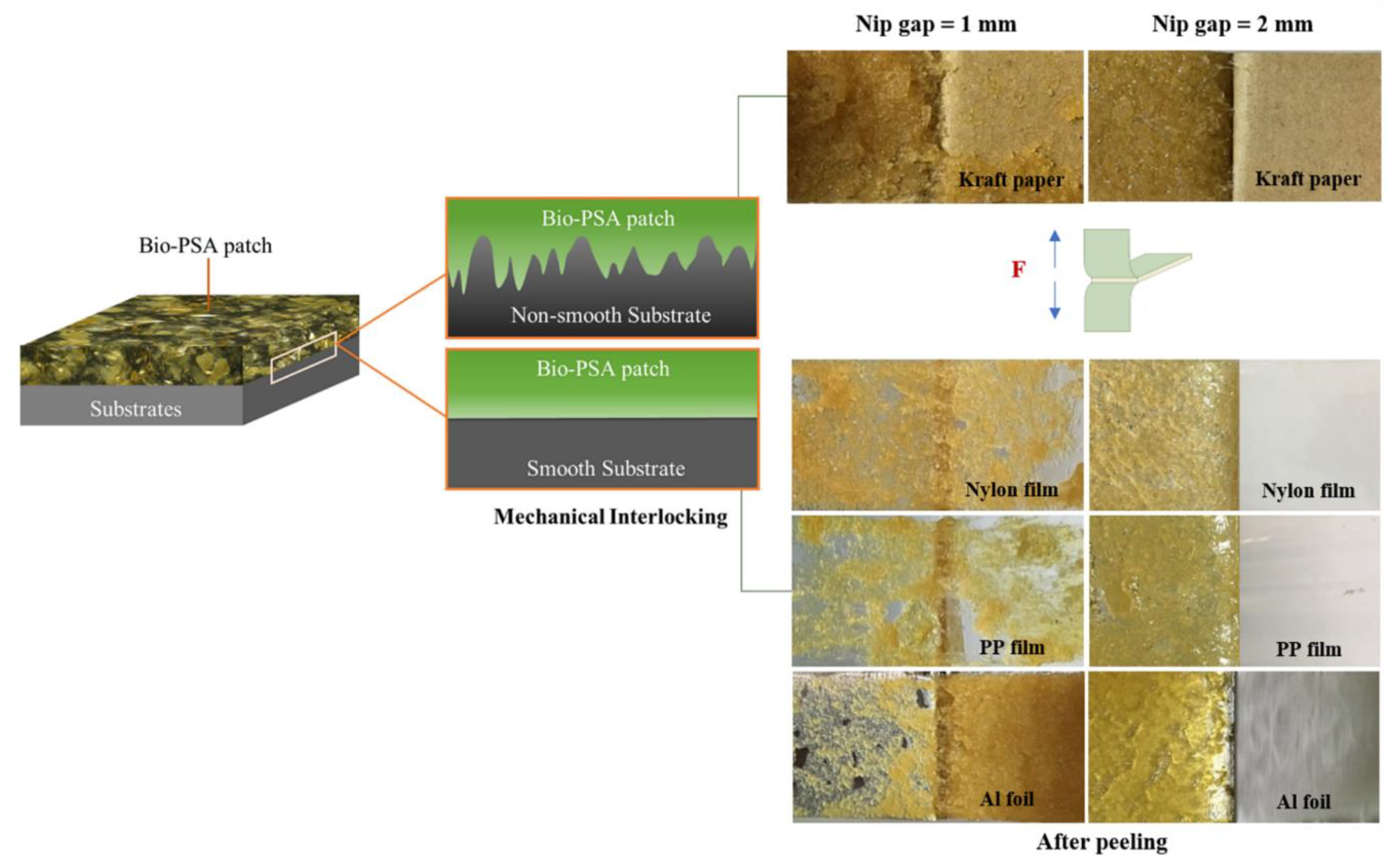 Polymers 13 00199 g003