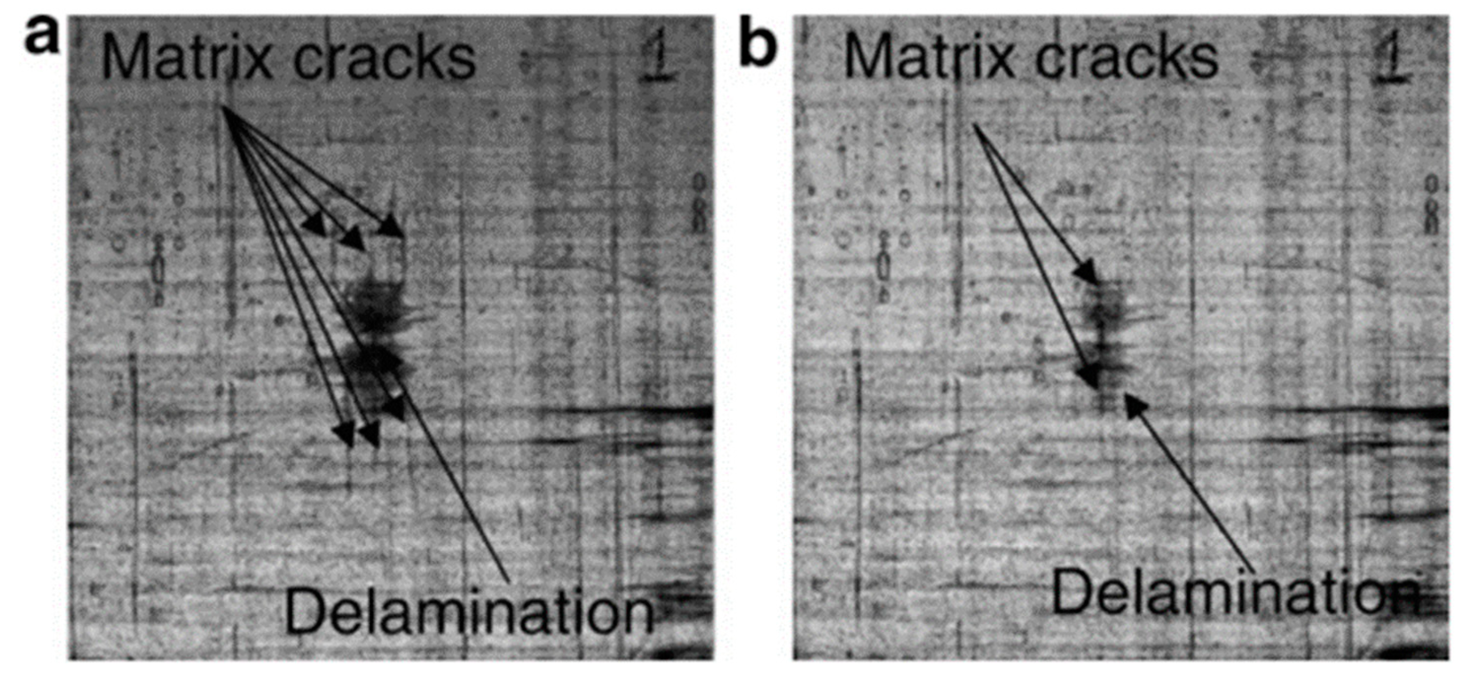 Polymers 13 00201 g003 Polymers 13 00201 g003