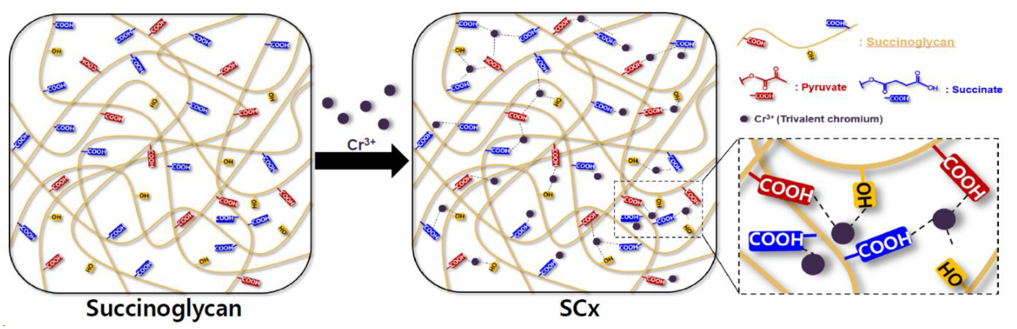 Polymers 13 00202 g004