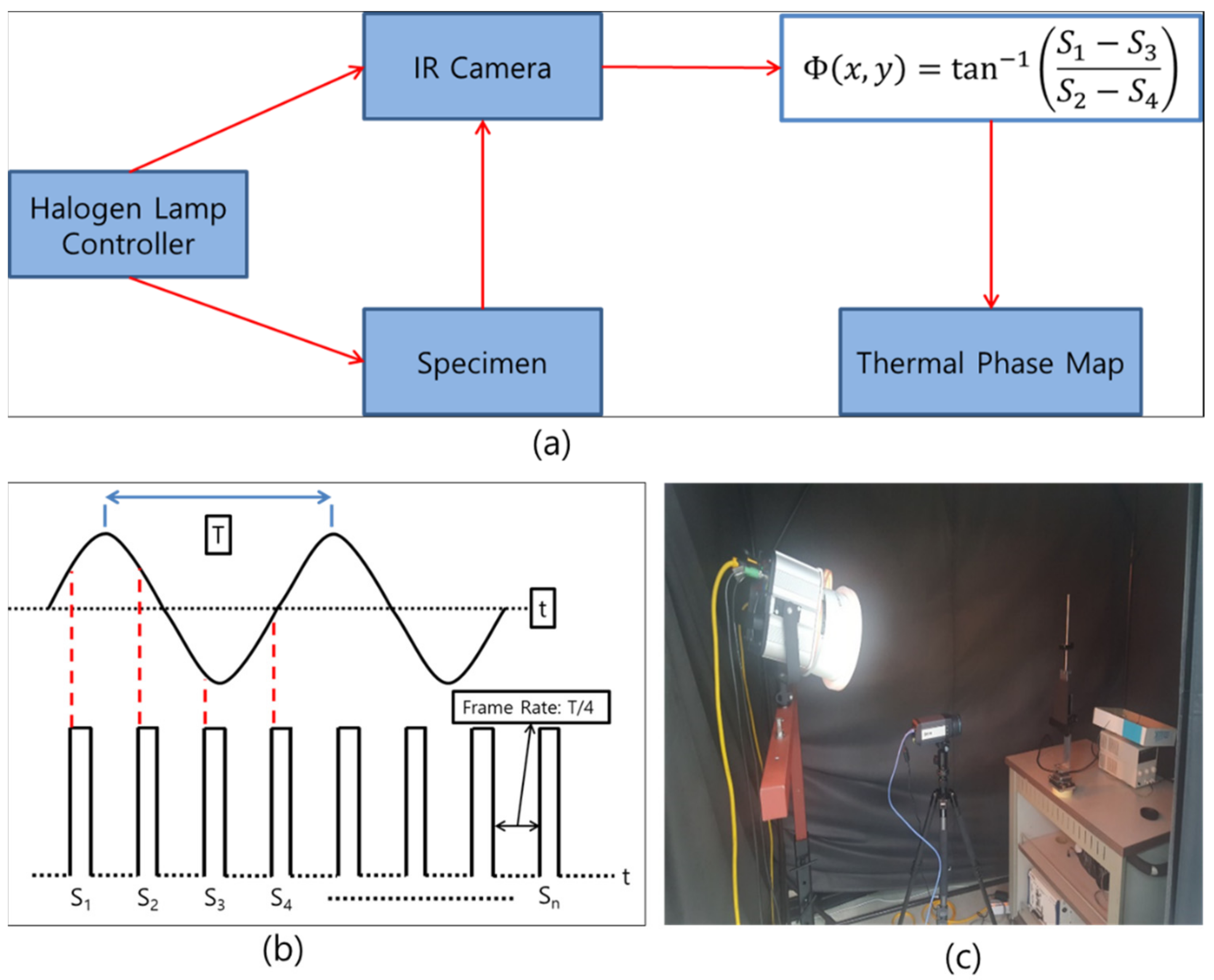 Polymers 13 00203 g004