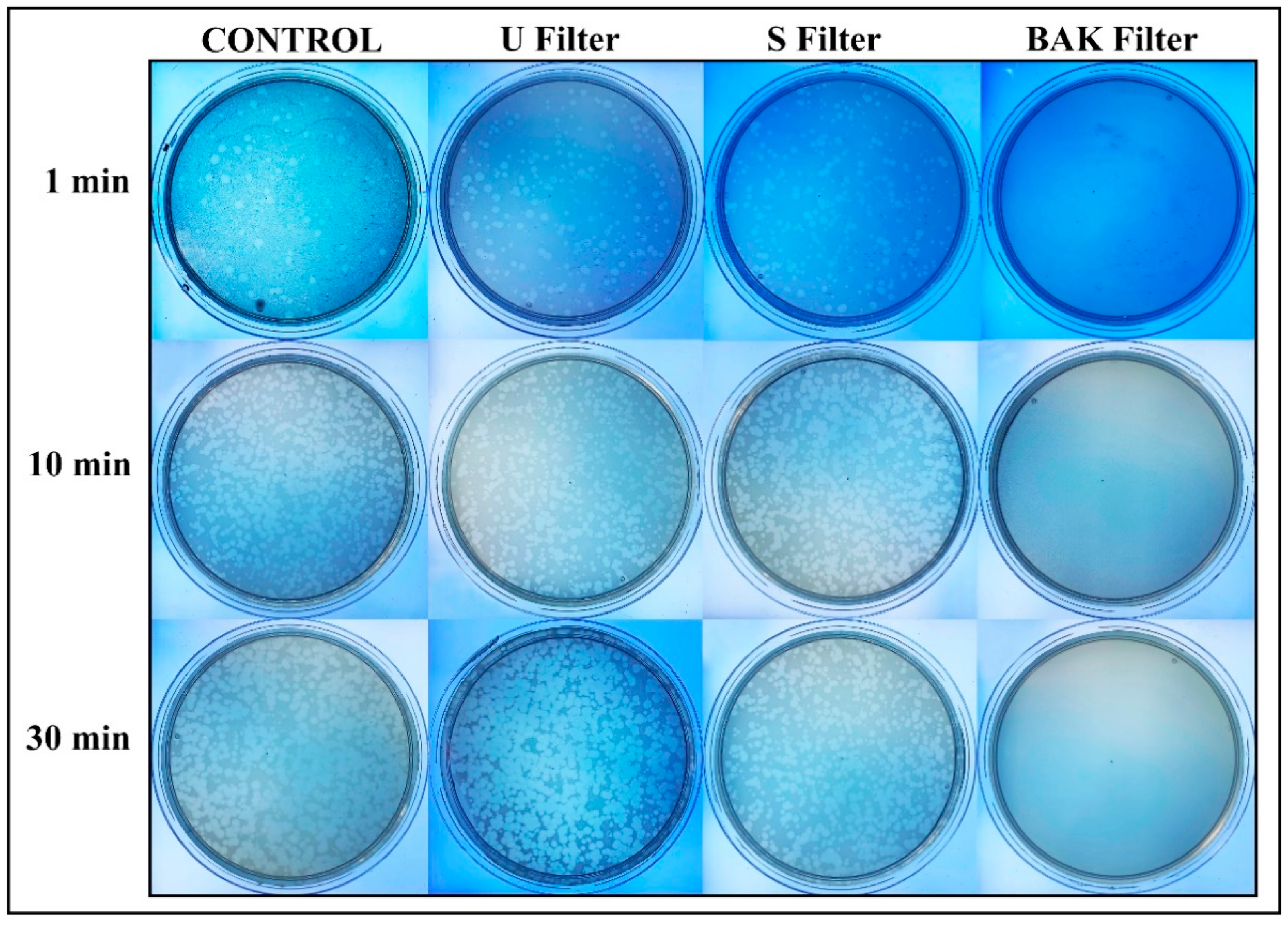 Polymers 13 00207 g003