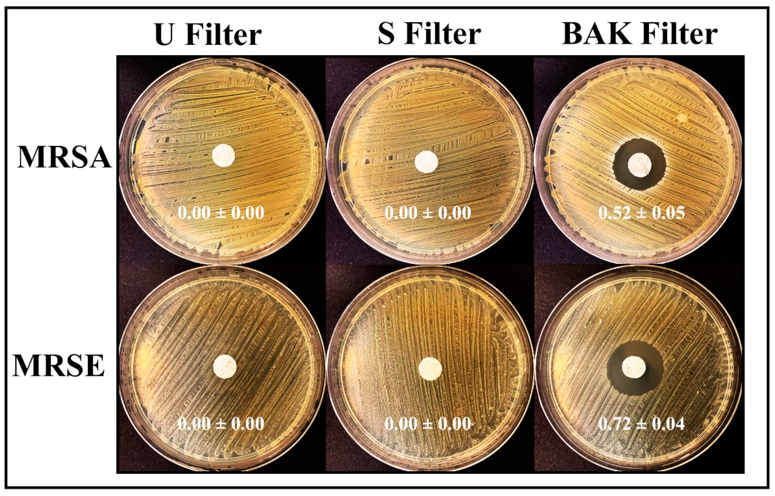 Polymers 13 00207 g006