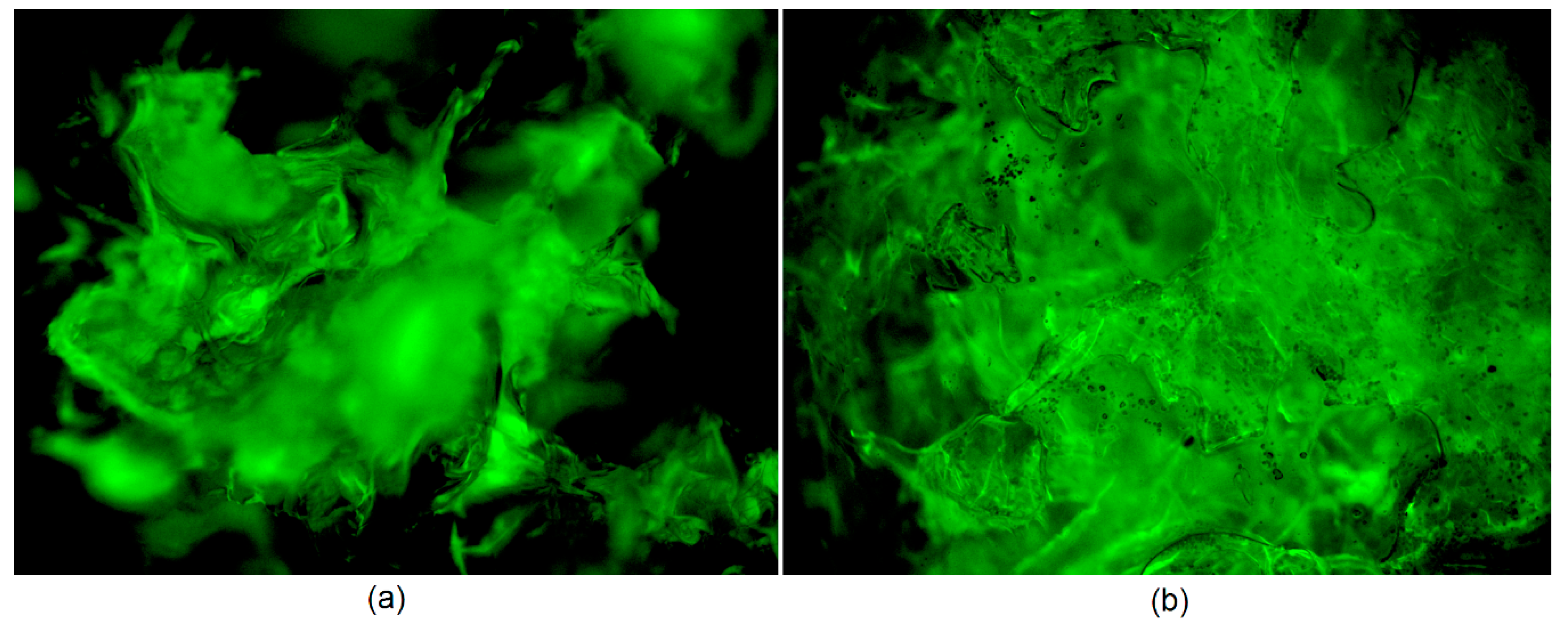 Polymers 13 00211 g007