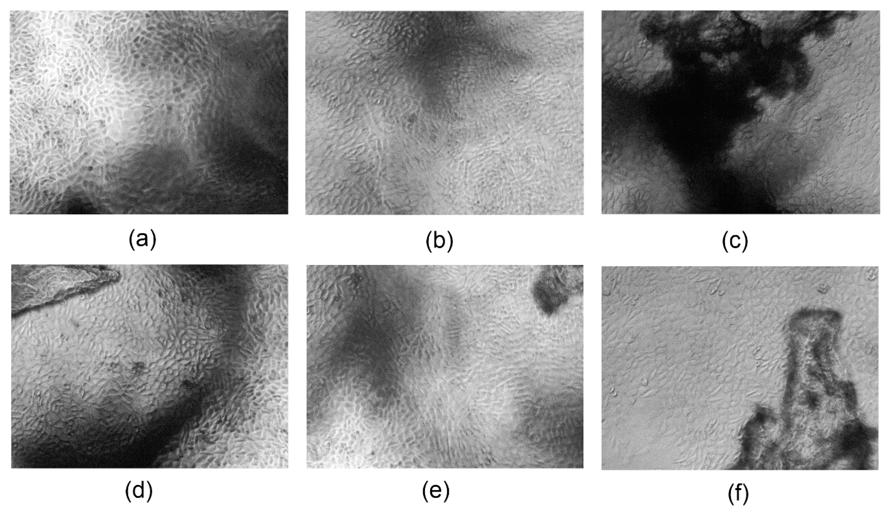 Polymers 13 00211 g014