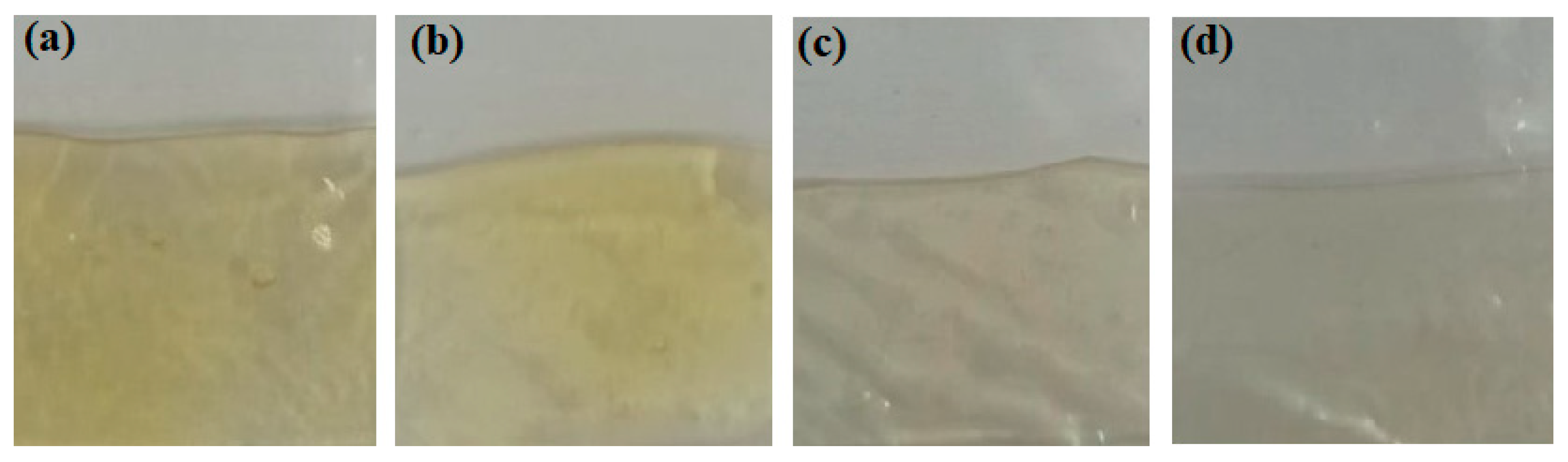 Polymers 13 00216 g002