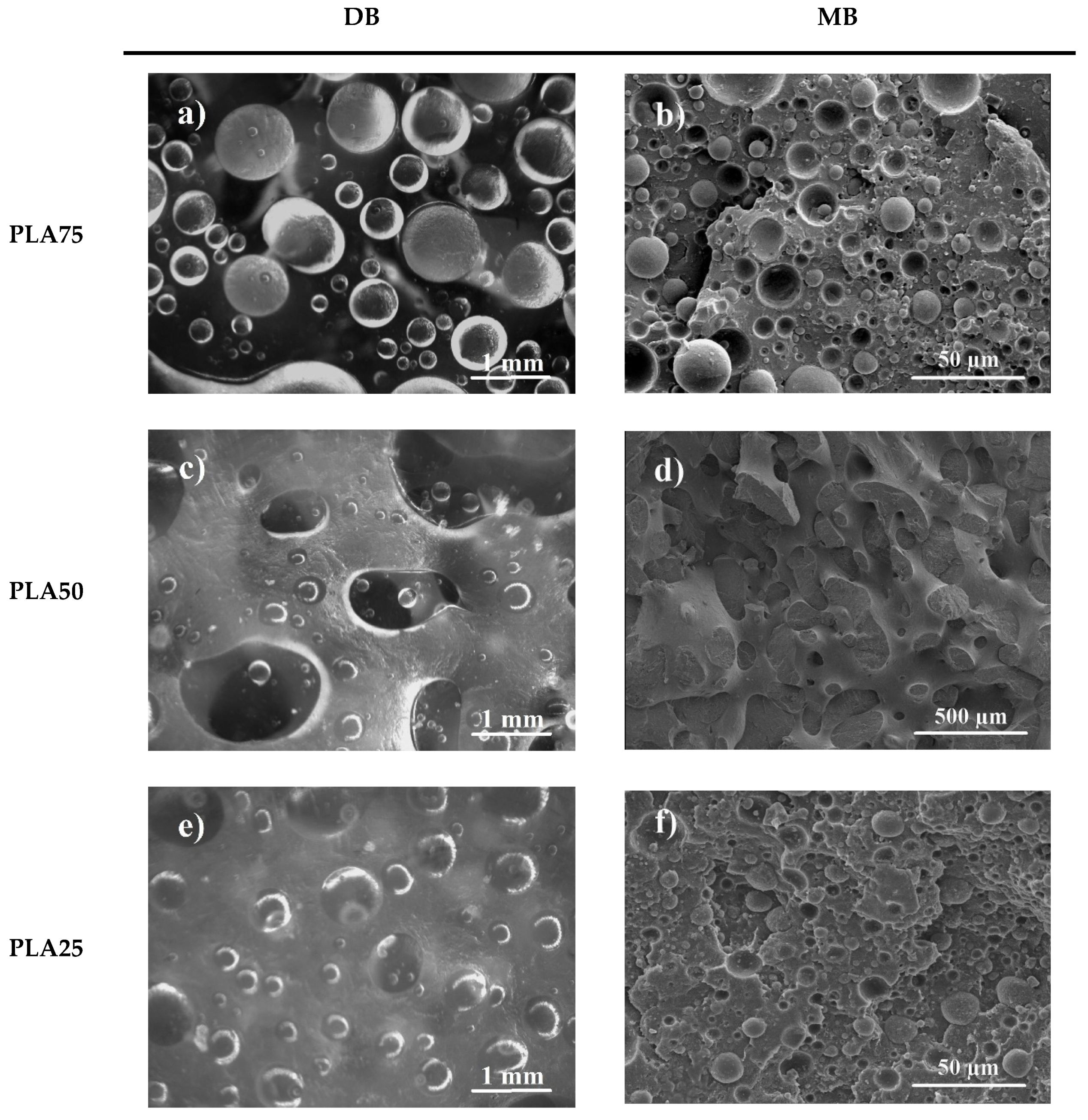Polymers 13 00217 g005