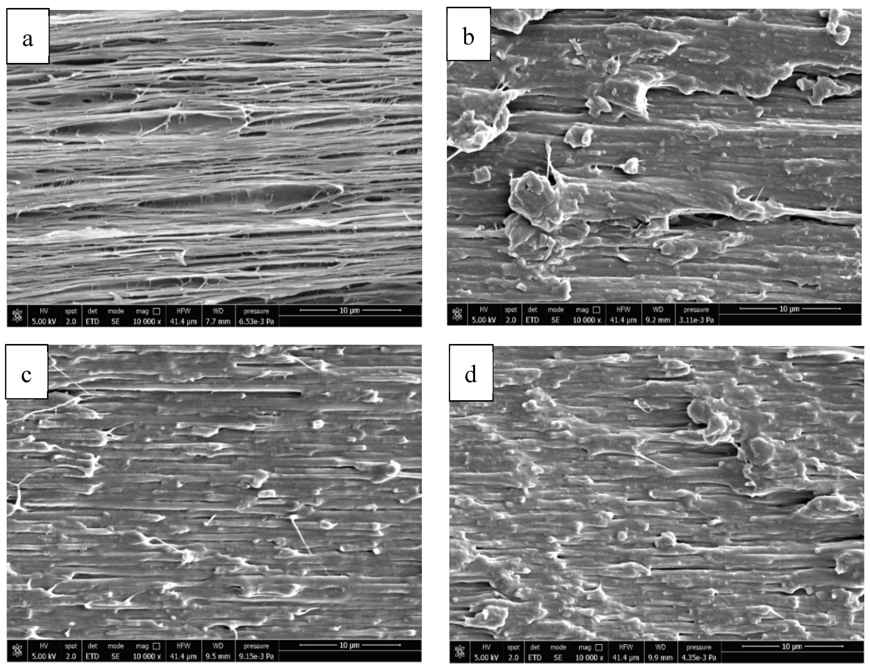 Polymers 13 00218 g011
