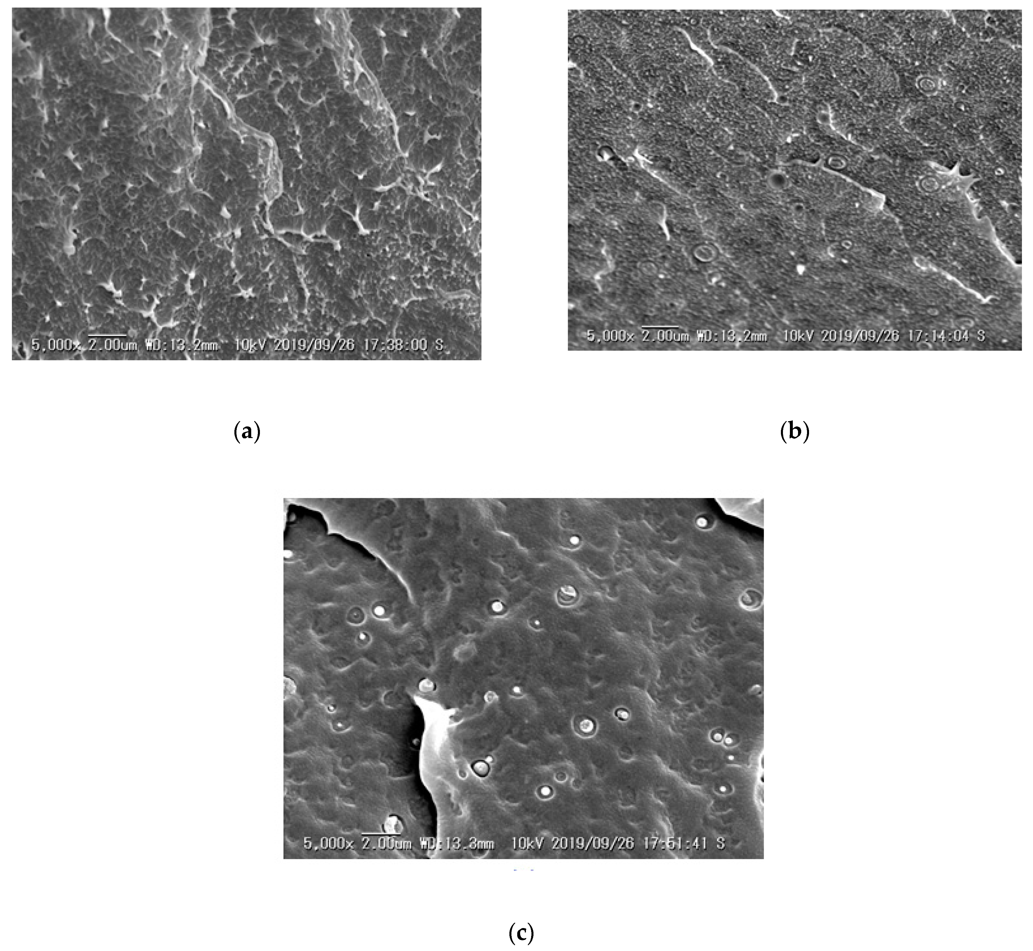 Polymers 13 00219 g005