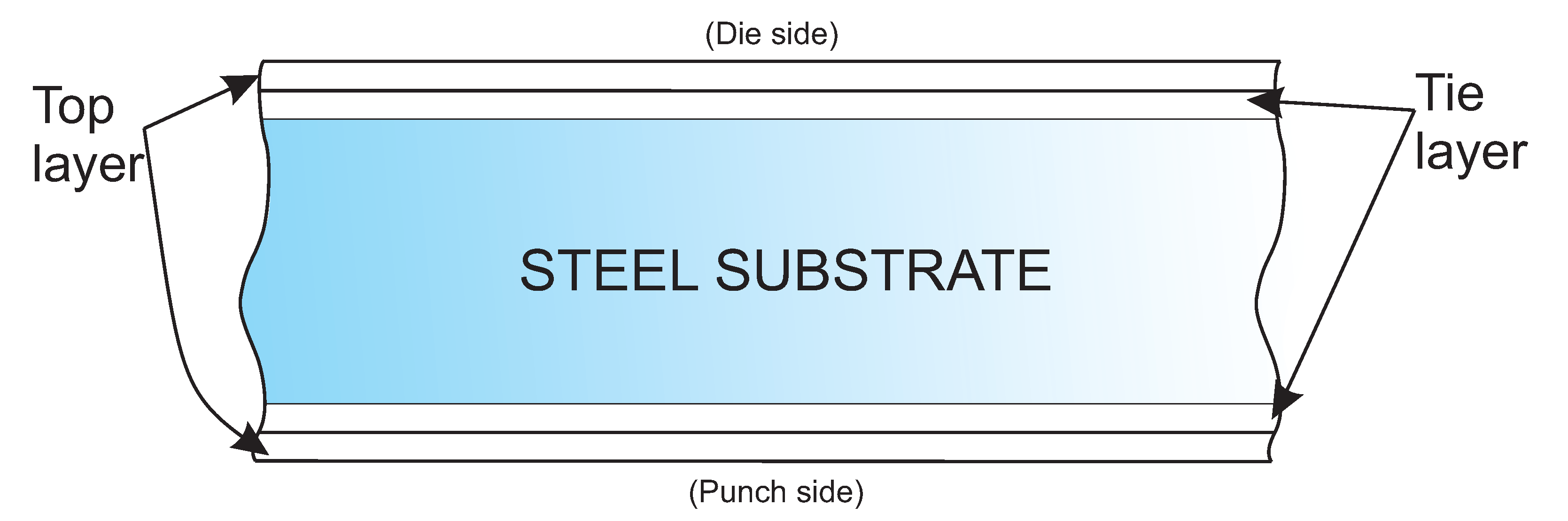 Polymers 13 00222 g002