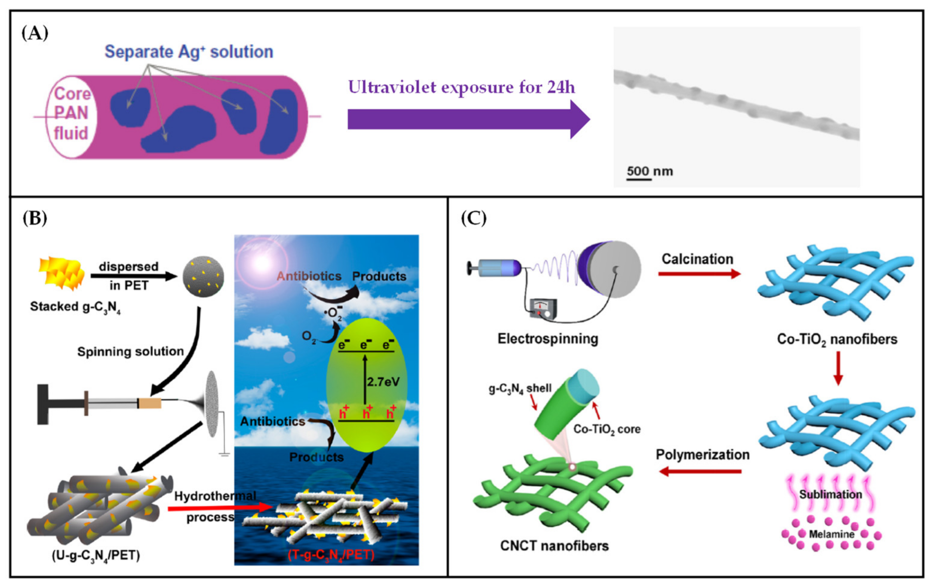 Polymers 13 00226 g009