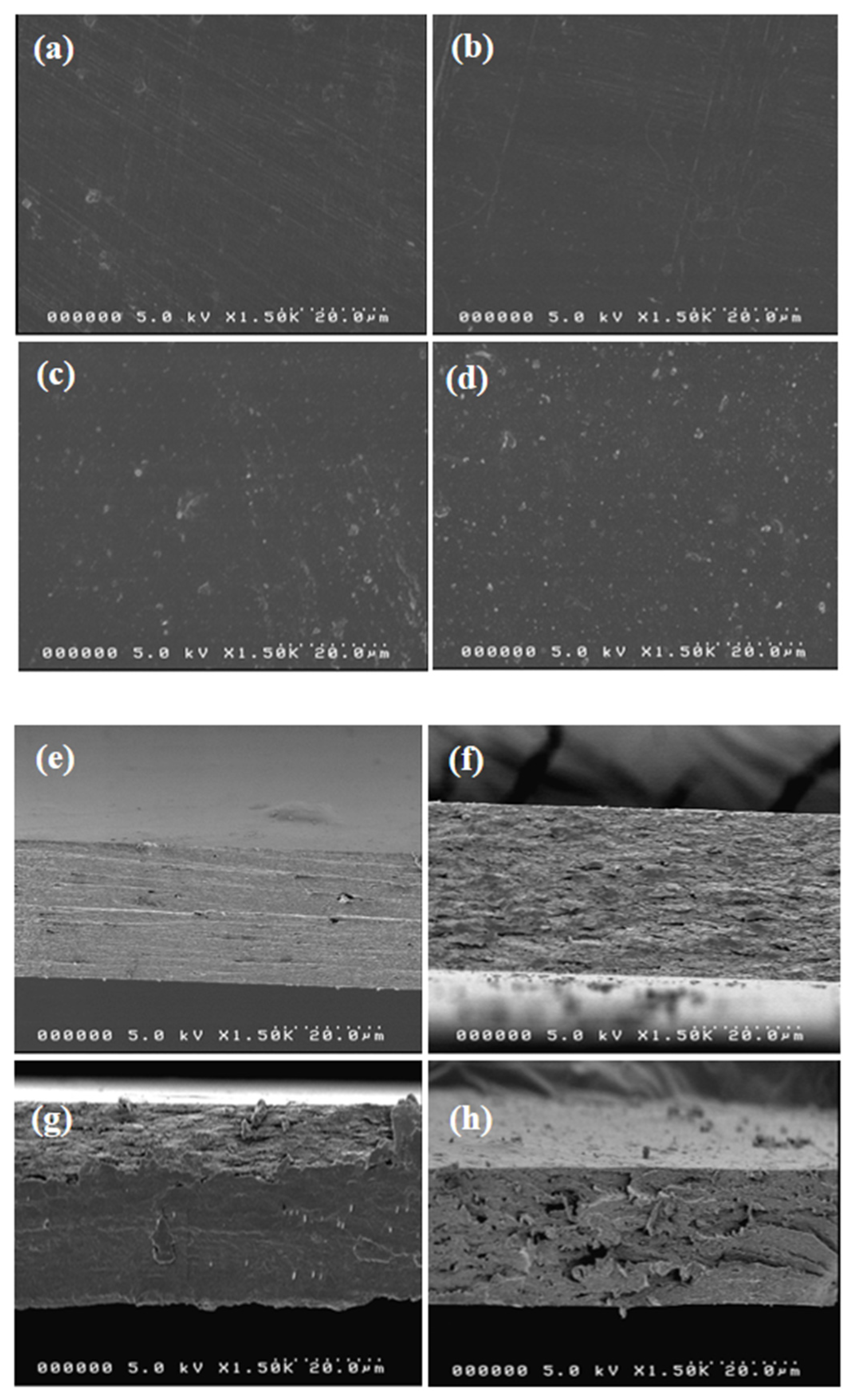 Polymers 13 00228 g004
